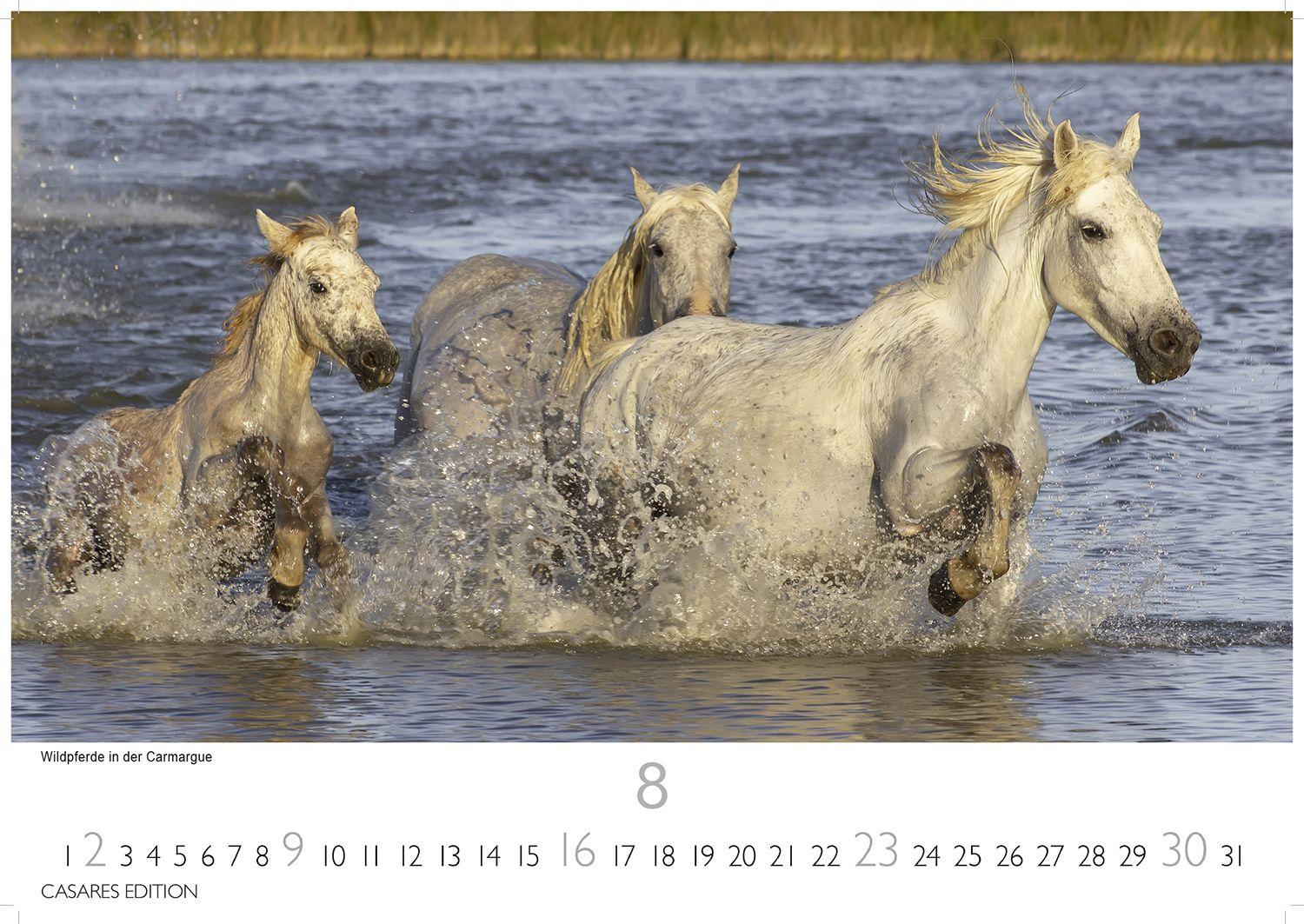 Beispielinhalt (Bild) Provence Kalender 2026 - Wandkalender | Fotokalender Frankreich 24x35cm - Atemberaubende Landschaften, Blühende Lavendelfelder & Charmante Dörfer - Perfekter . für Natur- und Reiseliebhaber