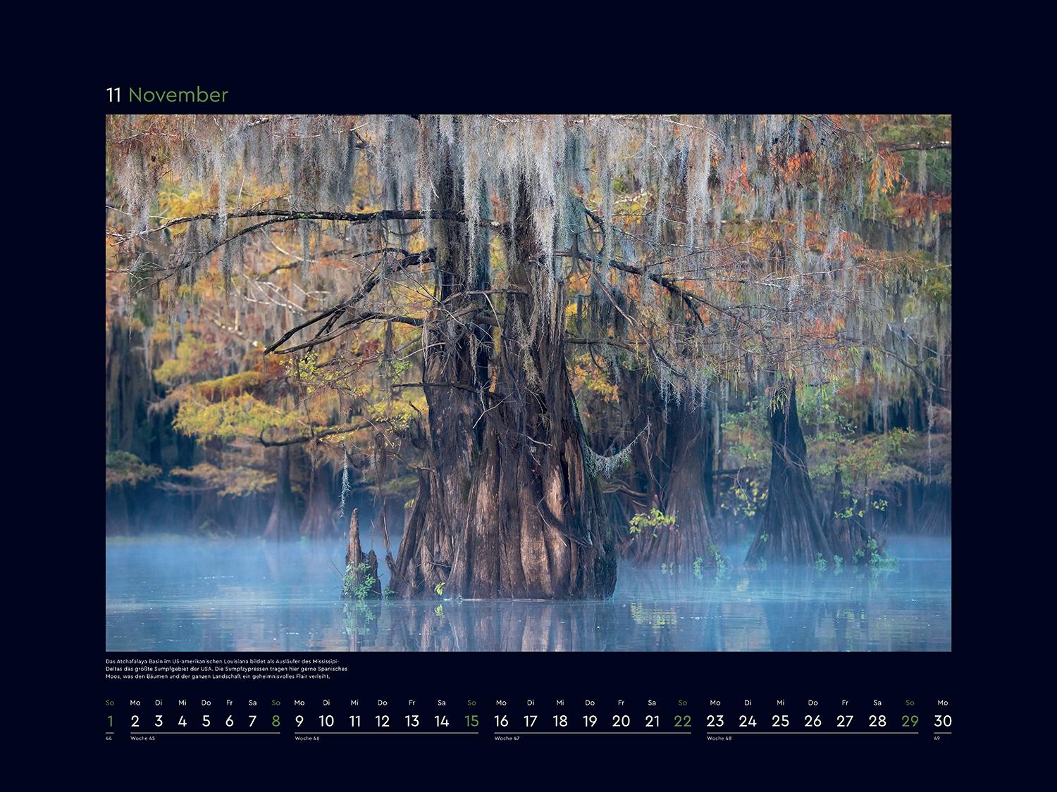 Beispielinhalt (Bild) Alte Bäume, Sinnbilder des Lebens - KUNTH Wandkalender 2026