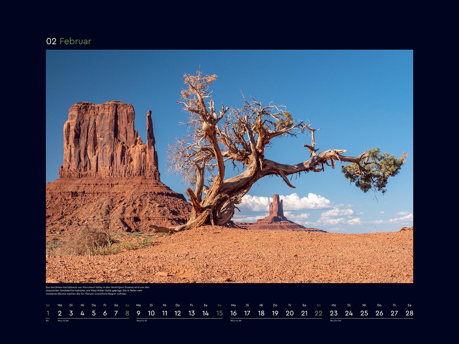 Beispielinhalt (Bild) Alte Bäume, Sinnbilder des Lebens - KUNTH Wandkalender 2026