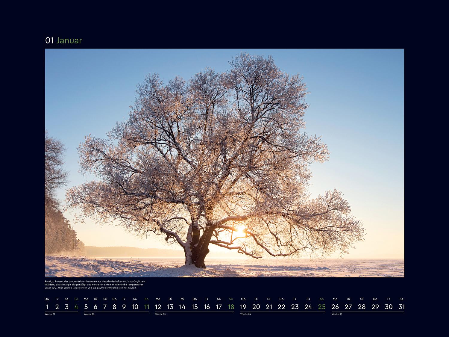 Beispielinhalt (Bild) Alte Bäume, Sinnbilder des Lebens - KUNTH Wandkalender 2026