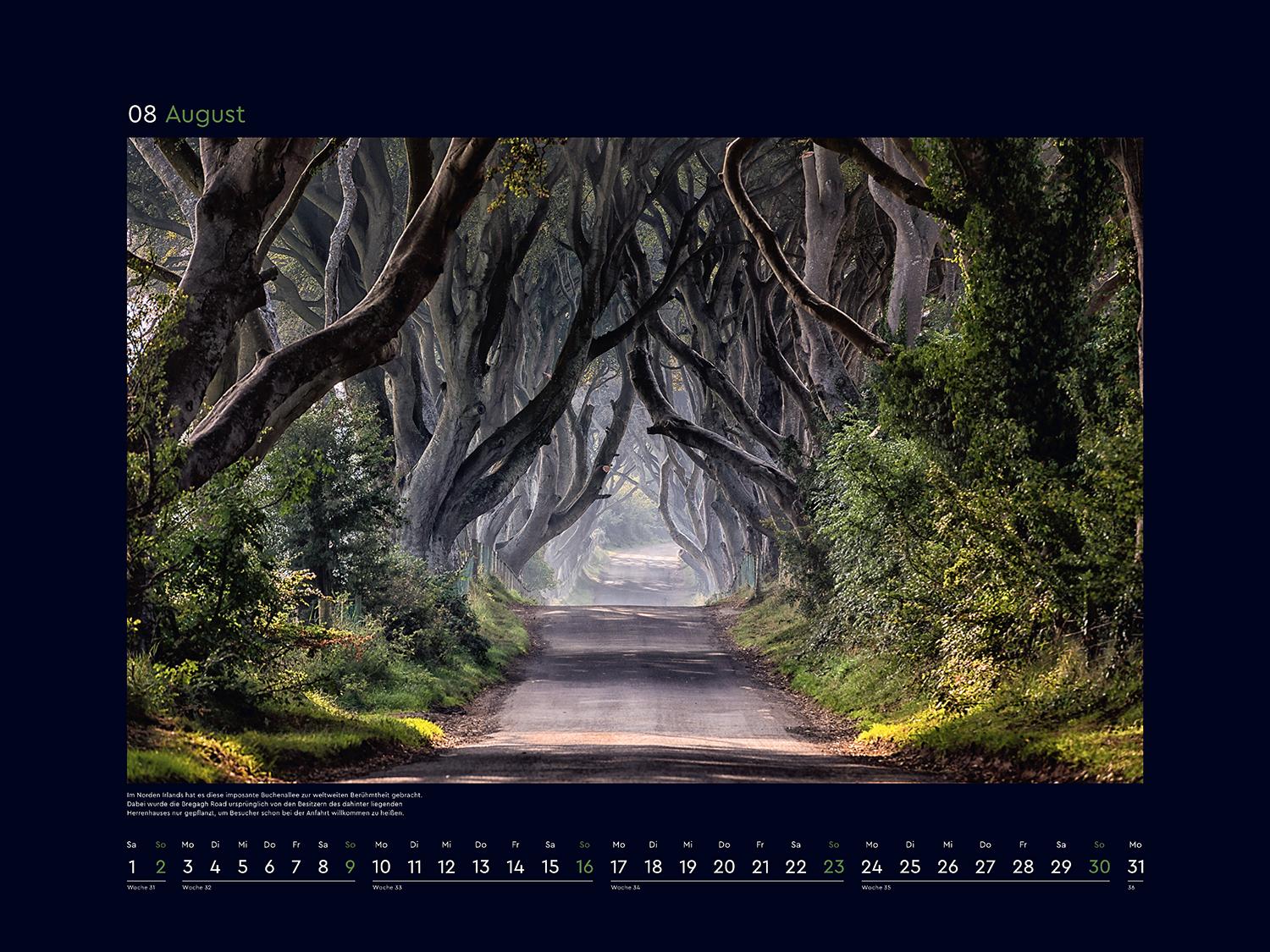 Beispielinhalt (Bild) Alte Bäume, Sinnbilder des Lebens - KUNTH Wandkalender 2026