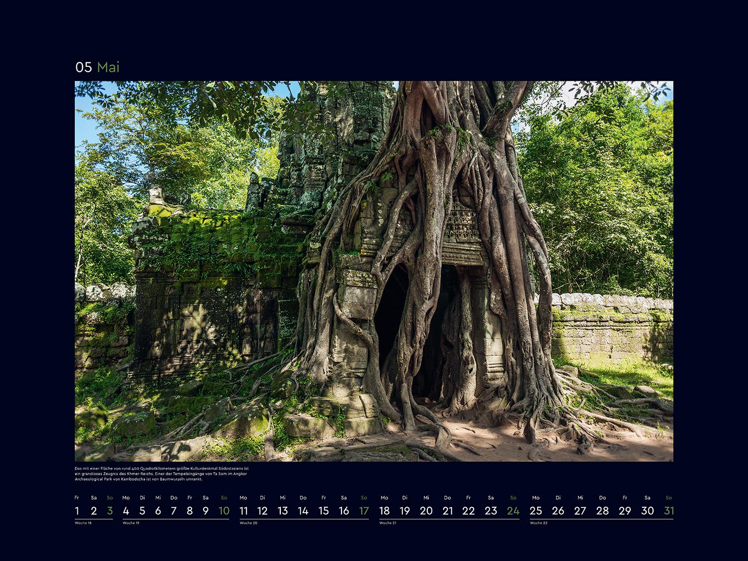 Beispielinhalt (Bild) Alte Bäume, Sinnbilder des Lebens - KUNTH Wandkalender 2026