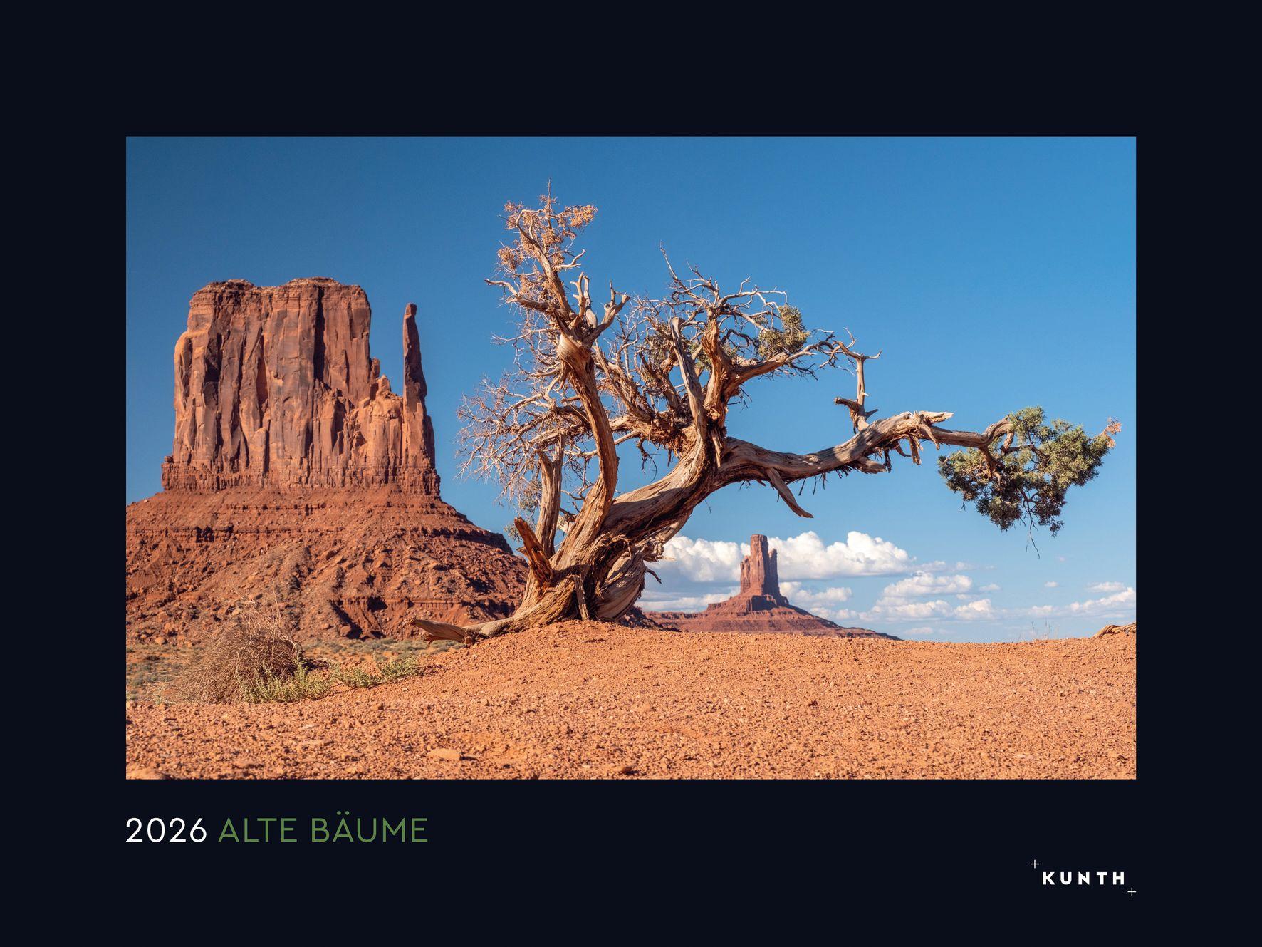 Vorderes Coverbild Alte Bäume, Sinnbilder des Lebens - KUNTH Wandkalender 2026