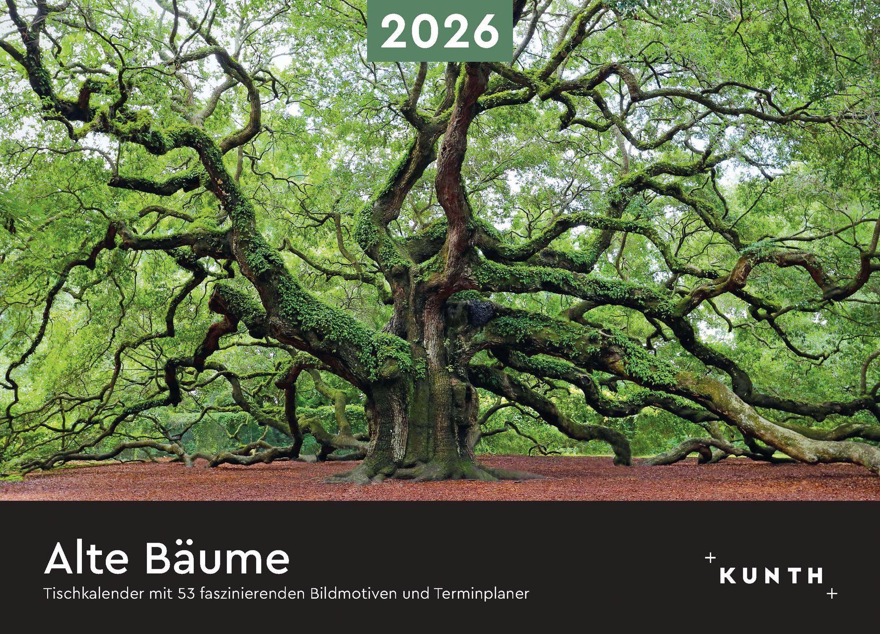 Vorderes Coverbild Alte Bäume - KUNTH Tischkalender 2026
