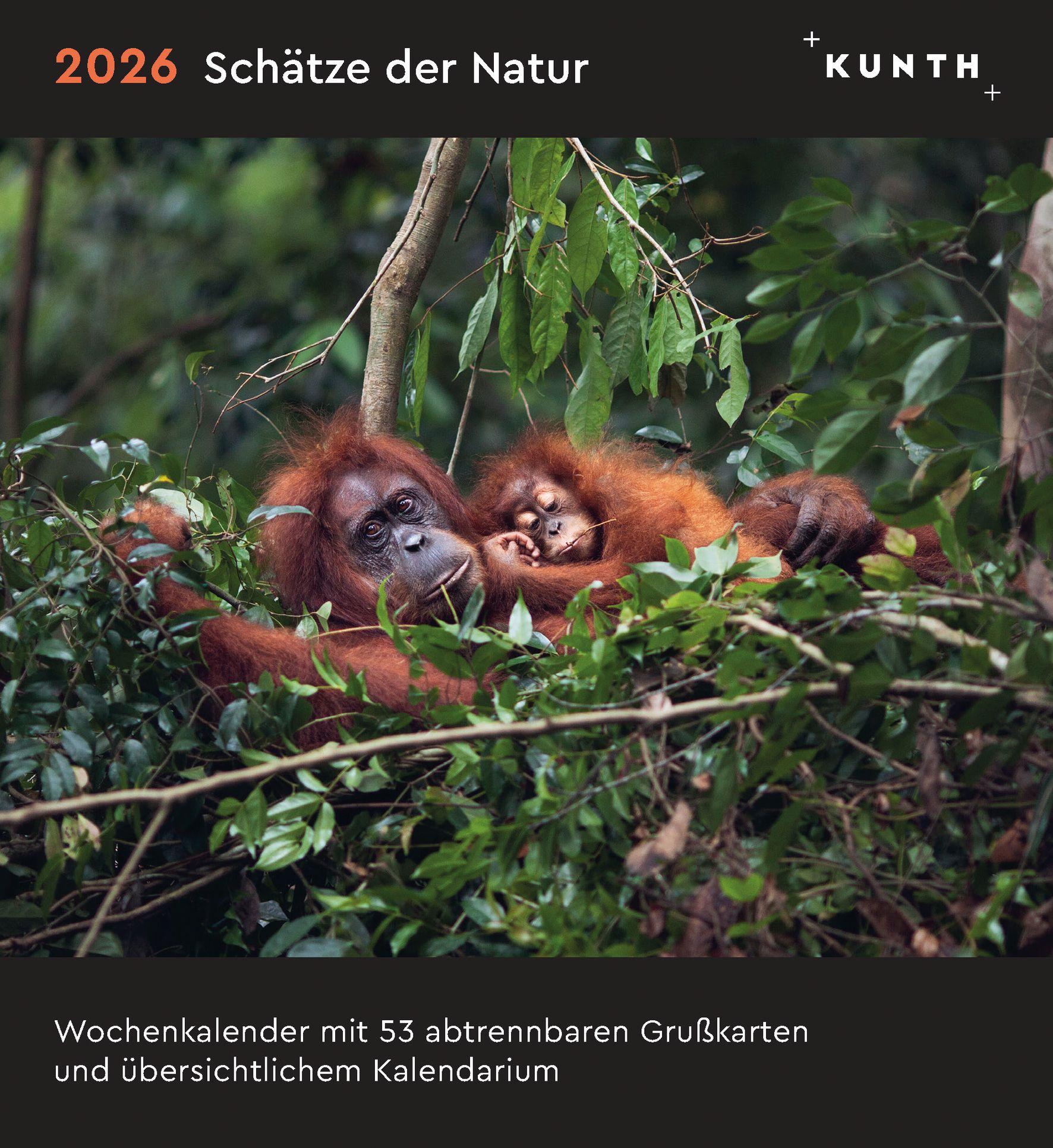 Vorderes Coverbild Schätze der Natur - KUNTH Postkartenkalender 2026