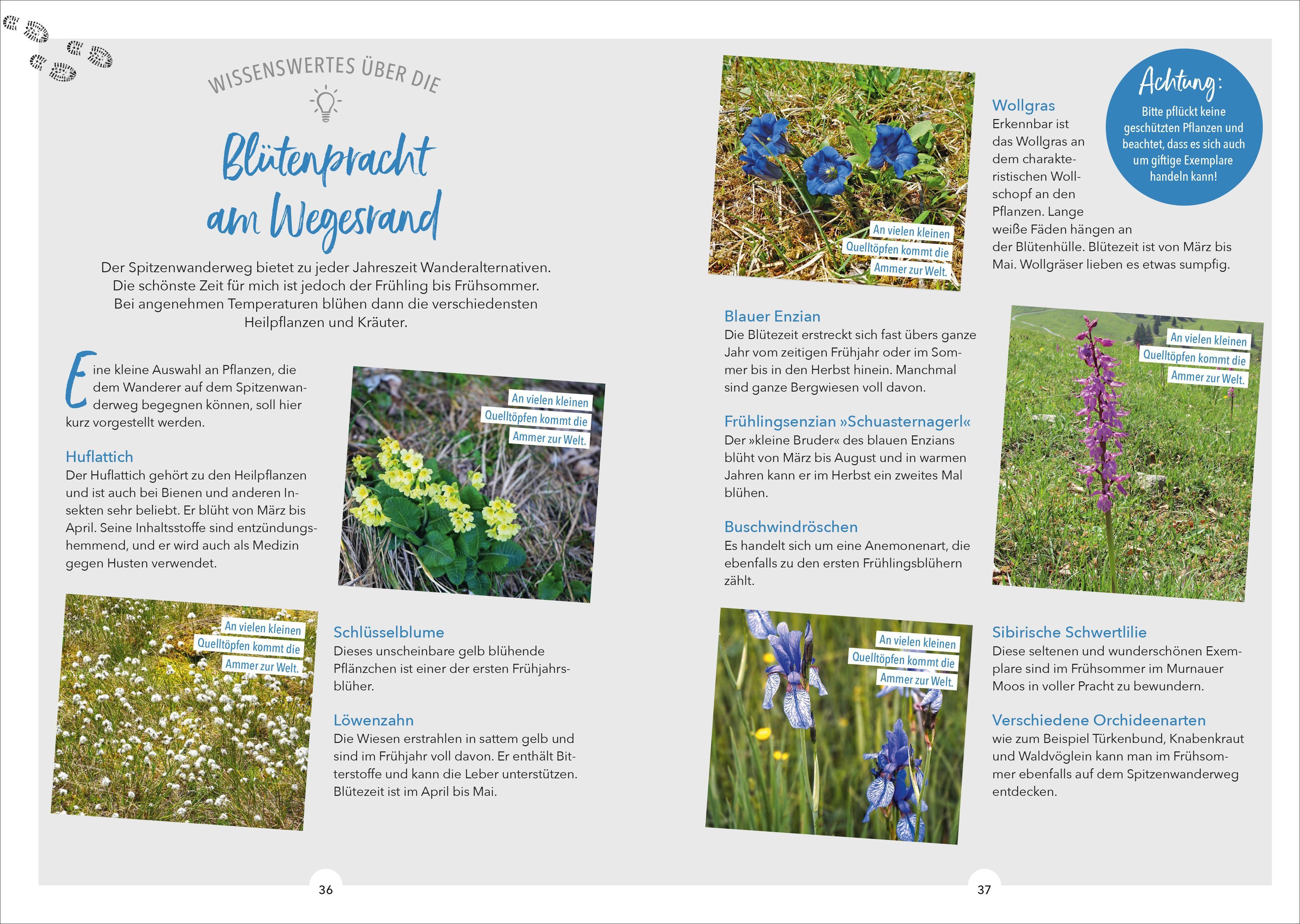 Beispielinhalt (Bild) Der Spitzenwanderweg rund um die Zugspitze