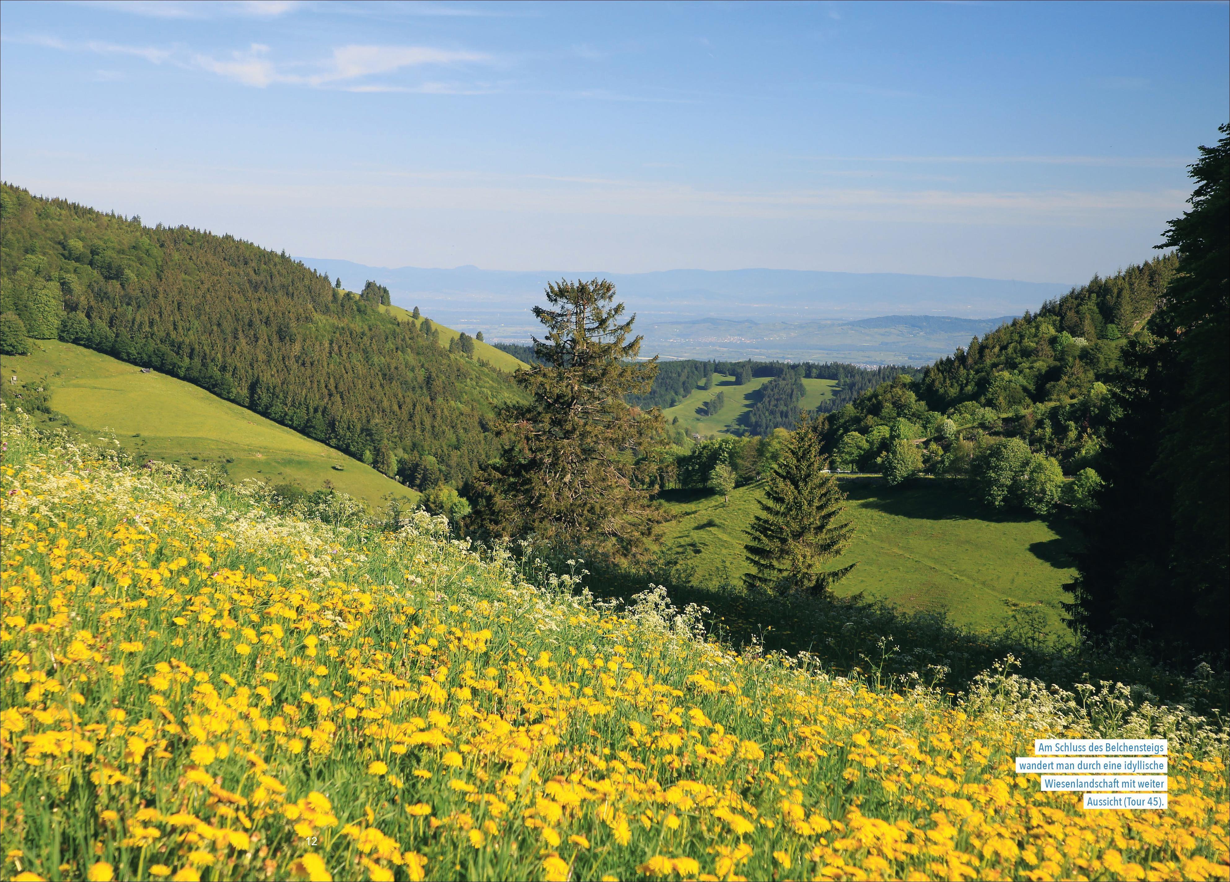 Beispielinhalt (Bild) Wanderparadies Schwarzwald