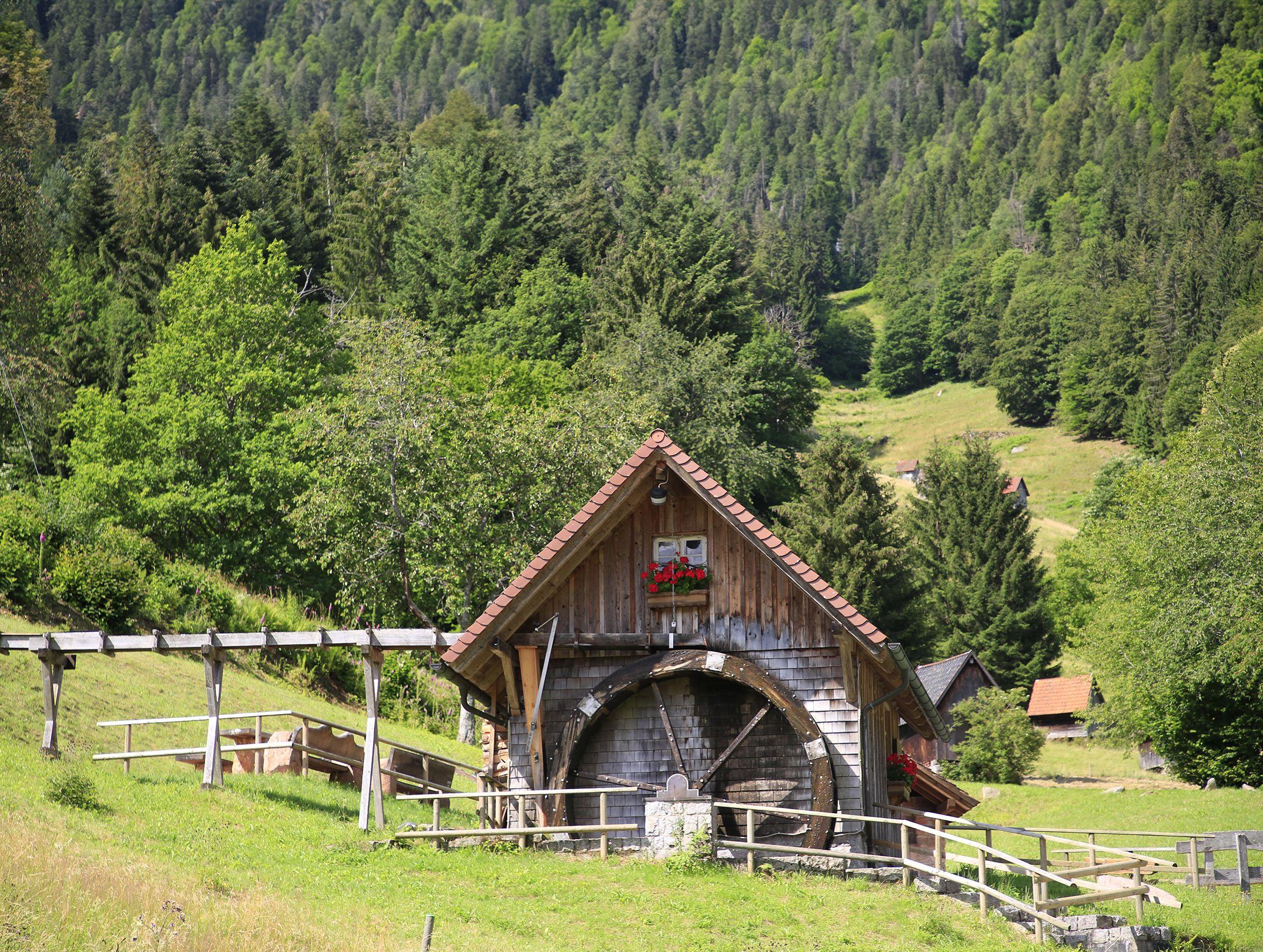 Beispielinhalt (Bild) Wanderparadies Schwarzwald