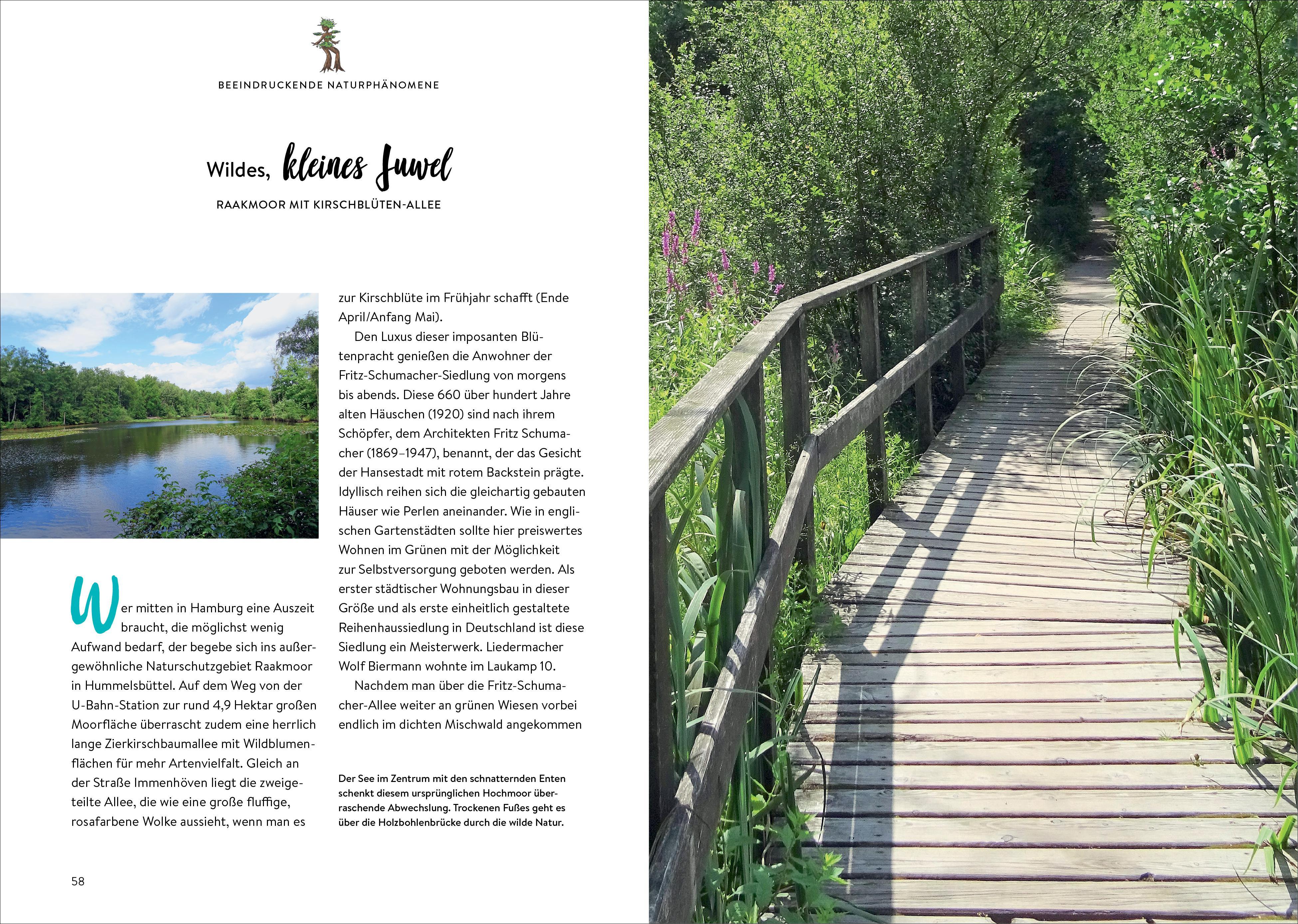 Beispielinhalt (Bild) Das Buch der kuriosen Orte in Hamburg