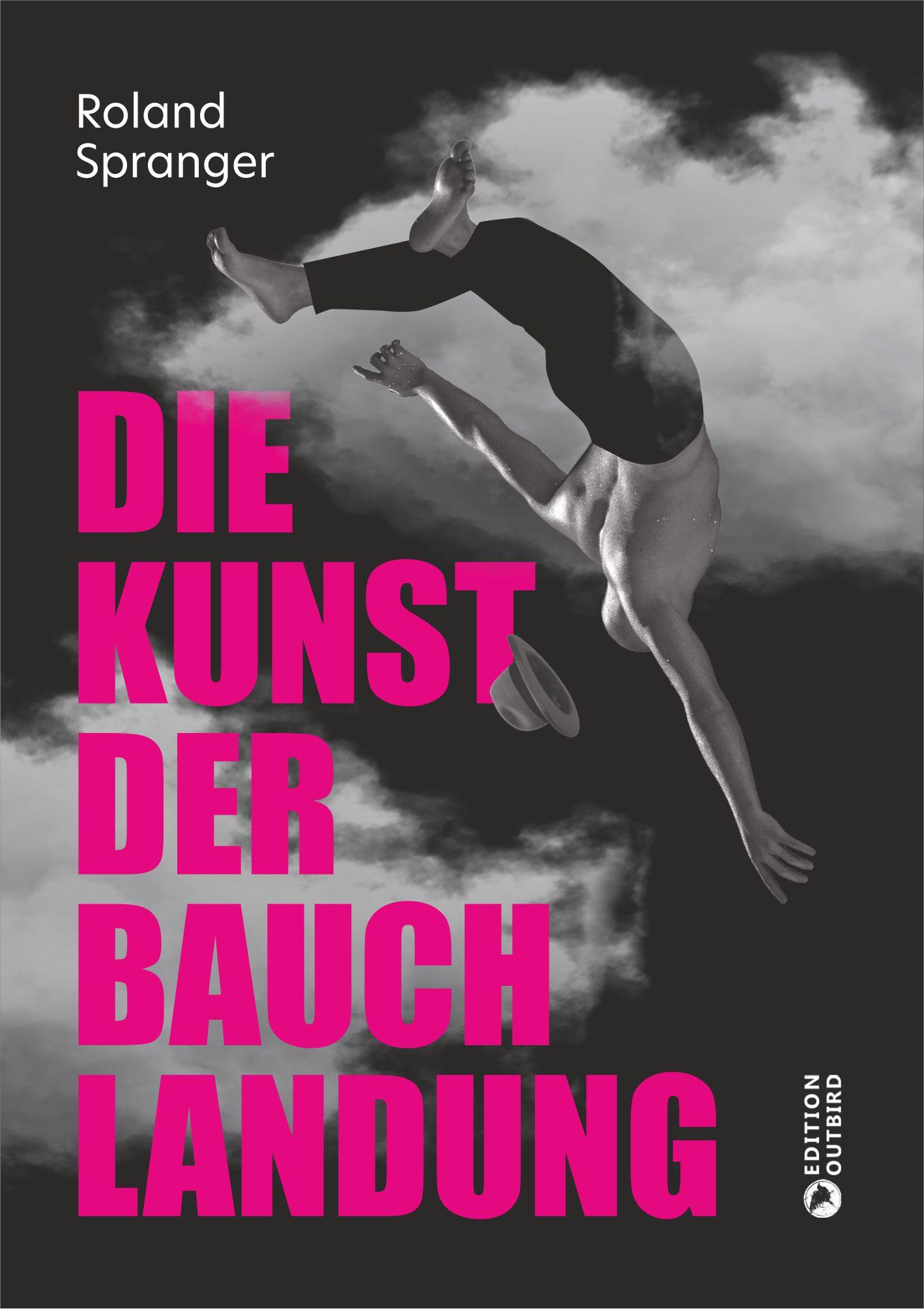 Vorderes Coverbild Die Kunst der Bauchlandung
