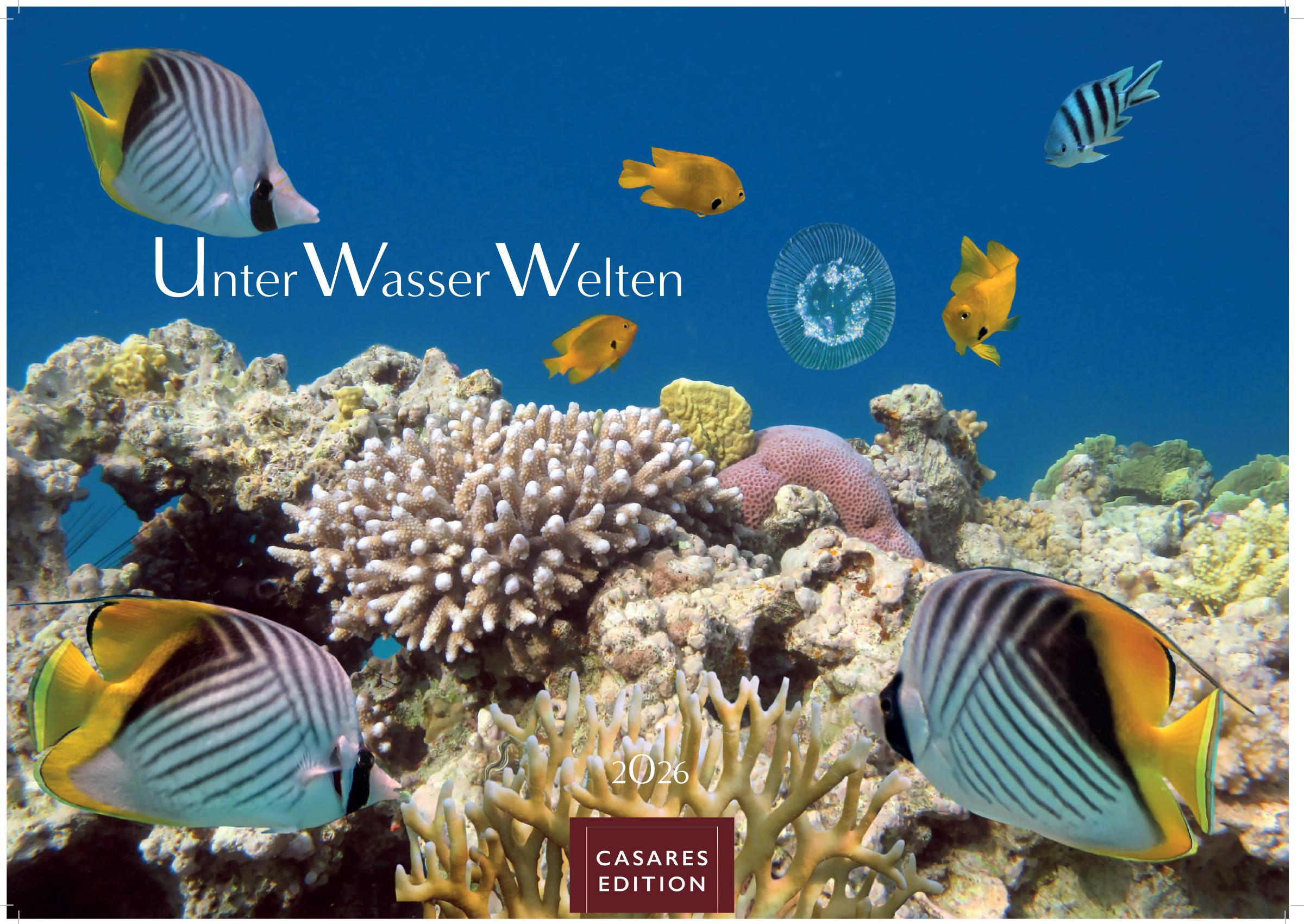 Vorderes Coverbild Unterwasserwelten Kalender 2026 - Wandkalender | Fotokalender Naturkalender 35x50cm Großformat - Atemberaubende Meereslandschaften & Korallenriffe.