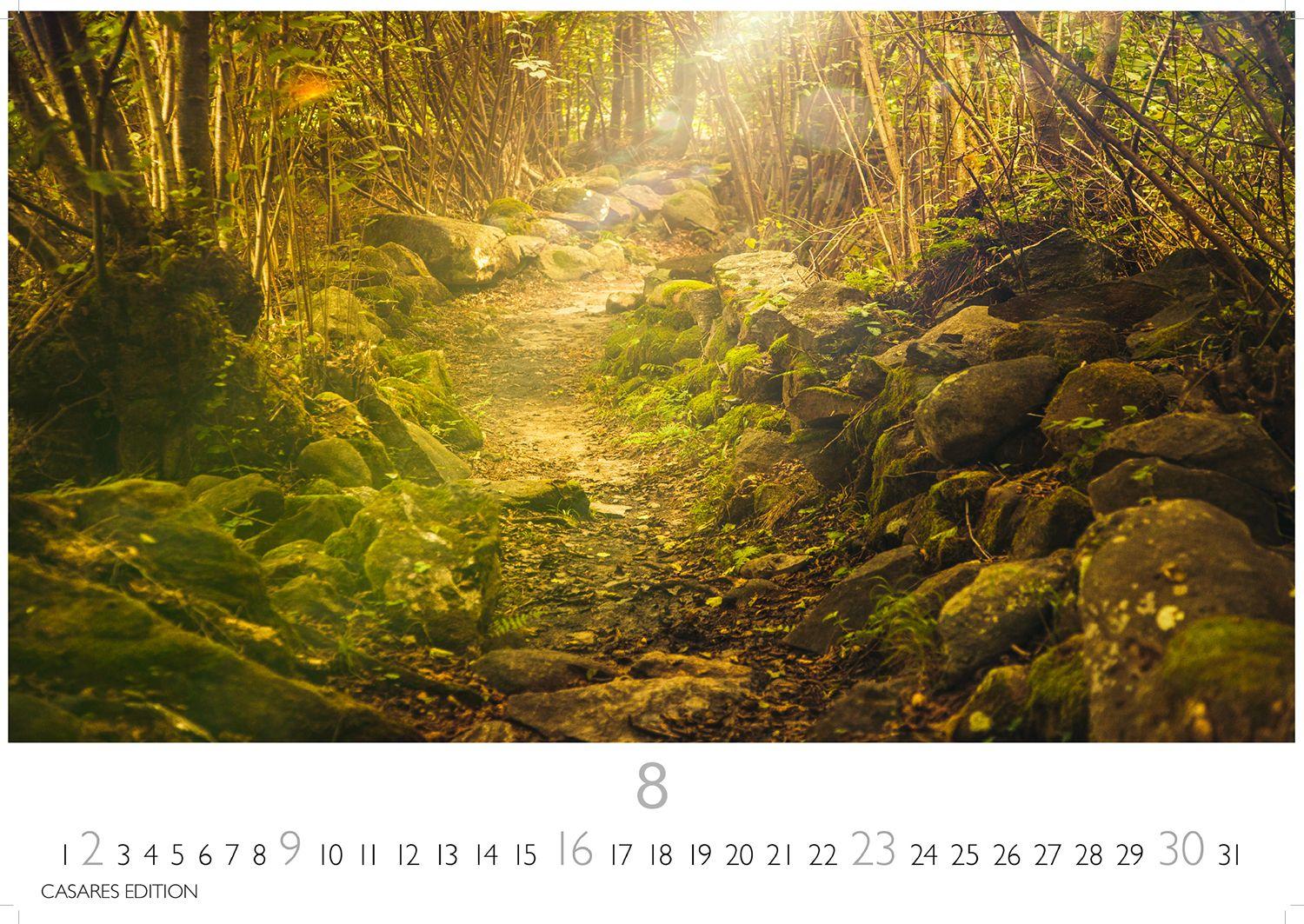 Beispielinhalt (Bild) Wald & Natur Kalender 2026 - Wandkalender | Fotokalender Naturkalender 24x 35cm - Natürliche Schönheit & Ruhe für jeden Monat .
