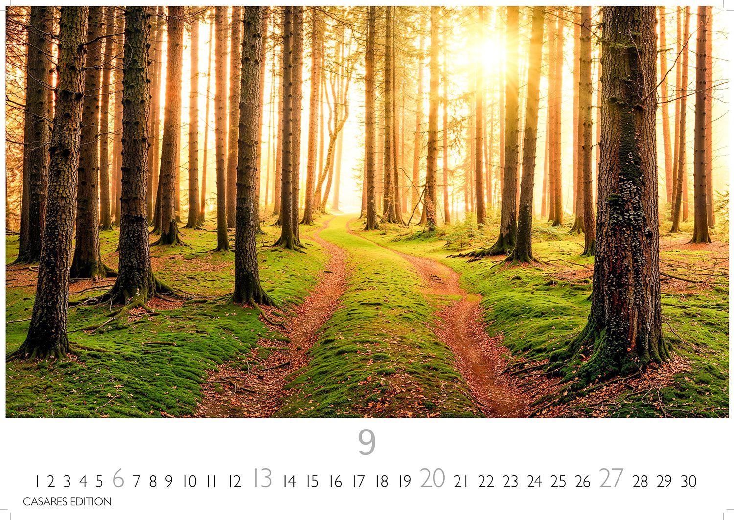 Beispielinhalt (Bild) Wald & Natur Kalender 2026 - Wandkalender | Fotokalender Naturkalender 24x 35cm - Natürliche Schönheit & Ruhe für jeden Monat .