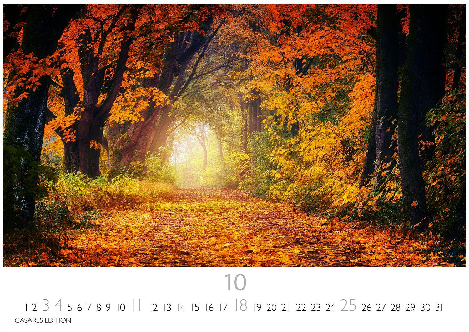 Beispielinhalt (Bild) Wald & Natur Kalender 2026 - Wandkalender | Fotokalender Naturkalender 24x 35cm - Natürliche Schönheit & Ruhe für jeden Monat .