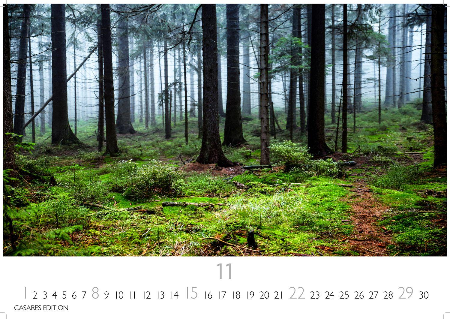 Beispielinhalt (Bild) Wald & Natur Kalender 2026 - Wandkalender | Fotokalender Naturkalender 24x 35cm - Natürliche Schönheit & Ruhe für jeden Monat .