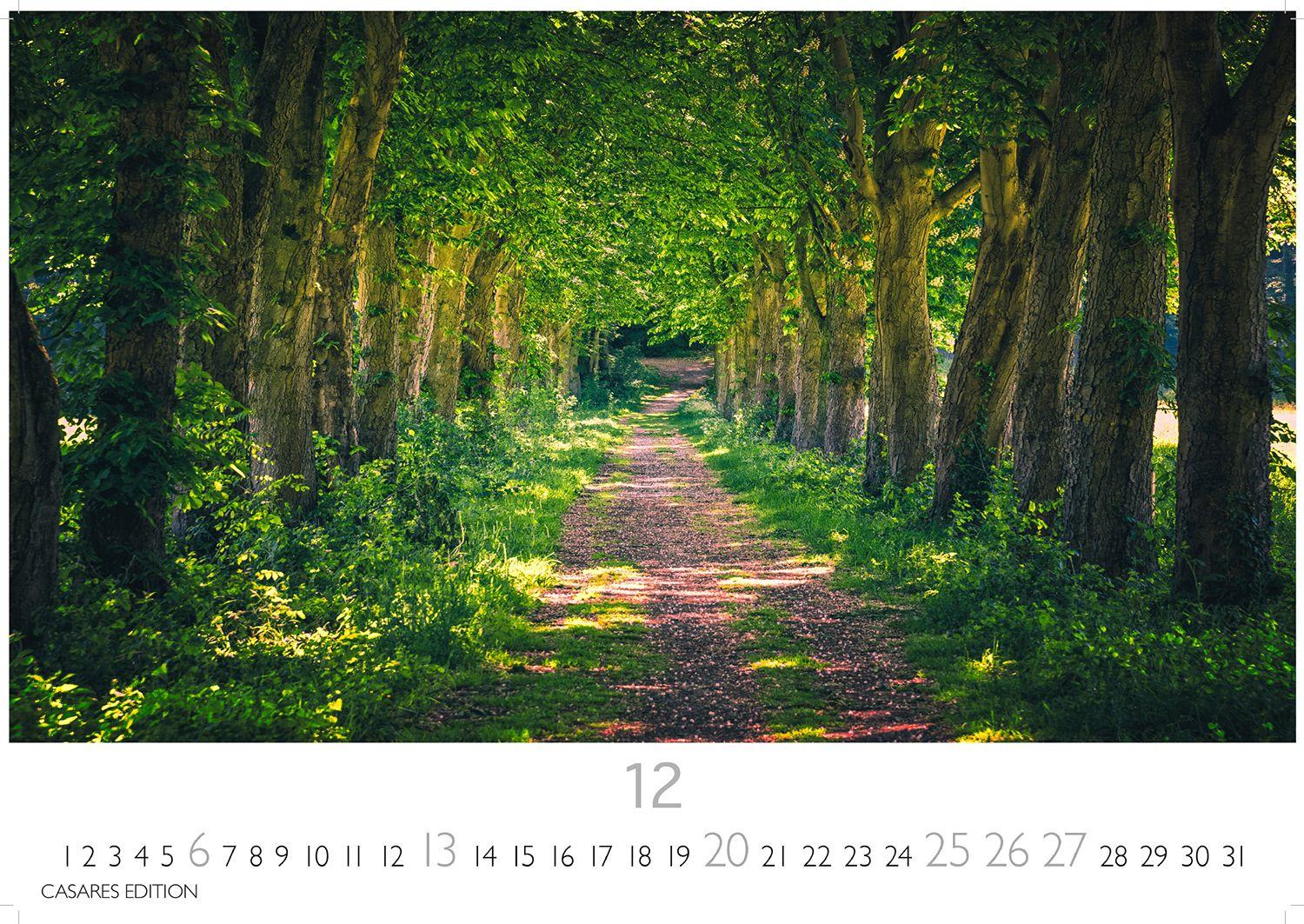 Beispielinhalt (Bild) Wald & Natur Kalender 2026 - Wandkalender | Fotokalender Naturkalender 24x 35cm - Natürliche Schönheit & Ruhe für jeden Monat .