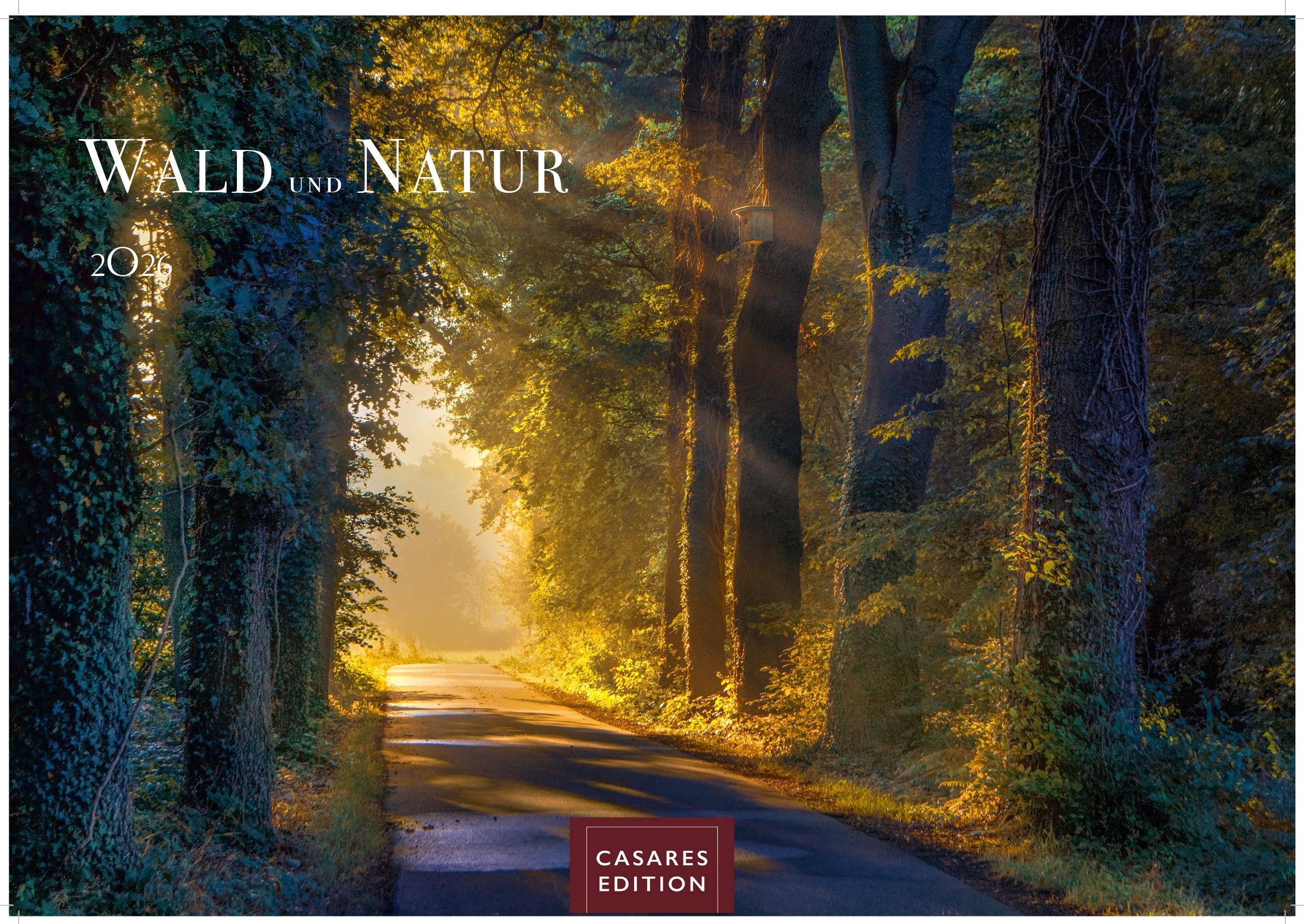 Vorderes Coverbild Wald & Natur Kalender 2026 - Wandkalender | Fotokalender Naturkalender 24x 35cm - Natürliche Schönheit & Ruhe für jeden Monat .
