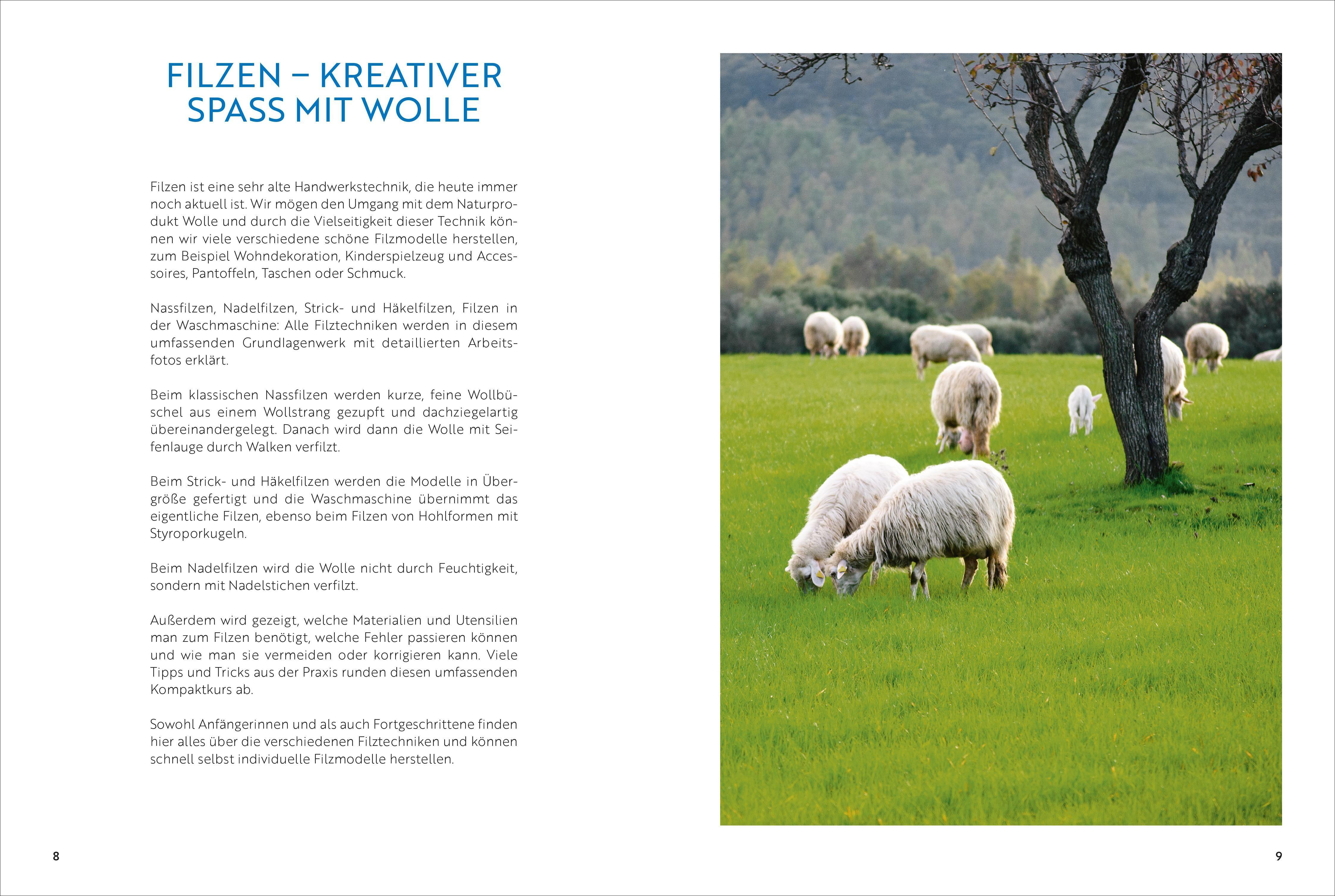 Beispielinhalt (Bild) Das große Buch vom Filzen