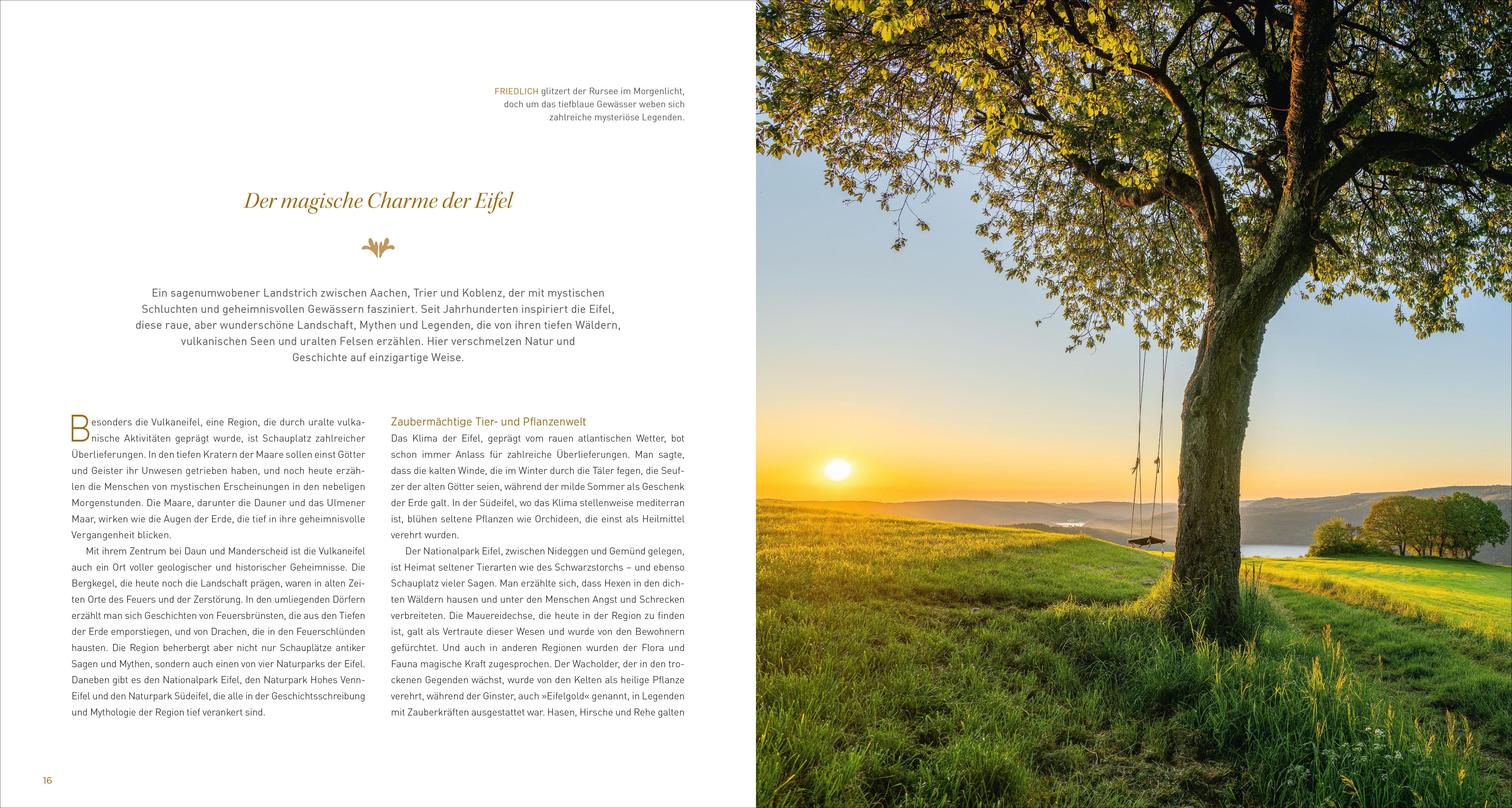 Beispielinhalt (Bild) Sagenhafte Eifel