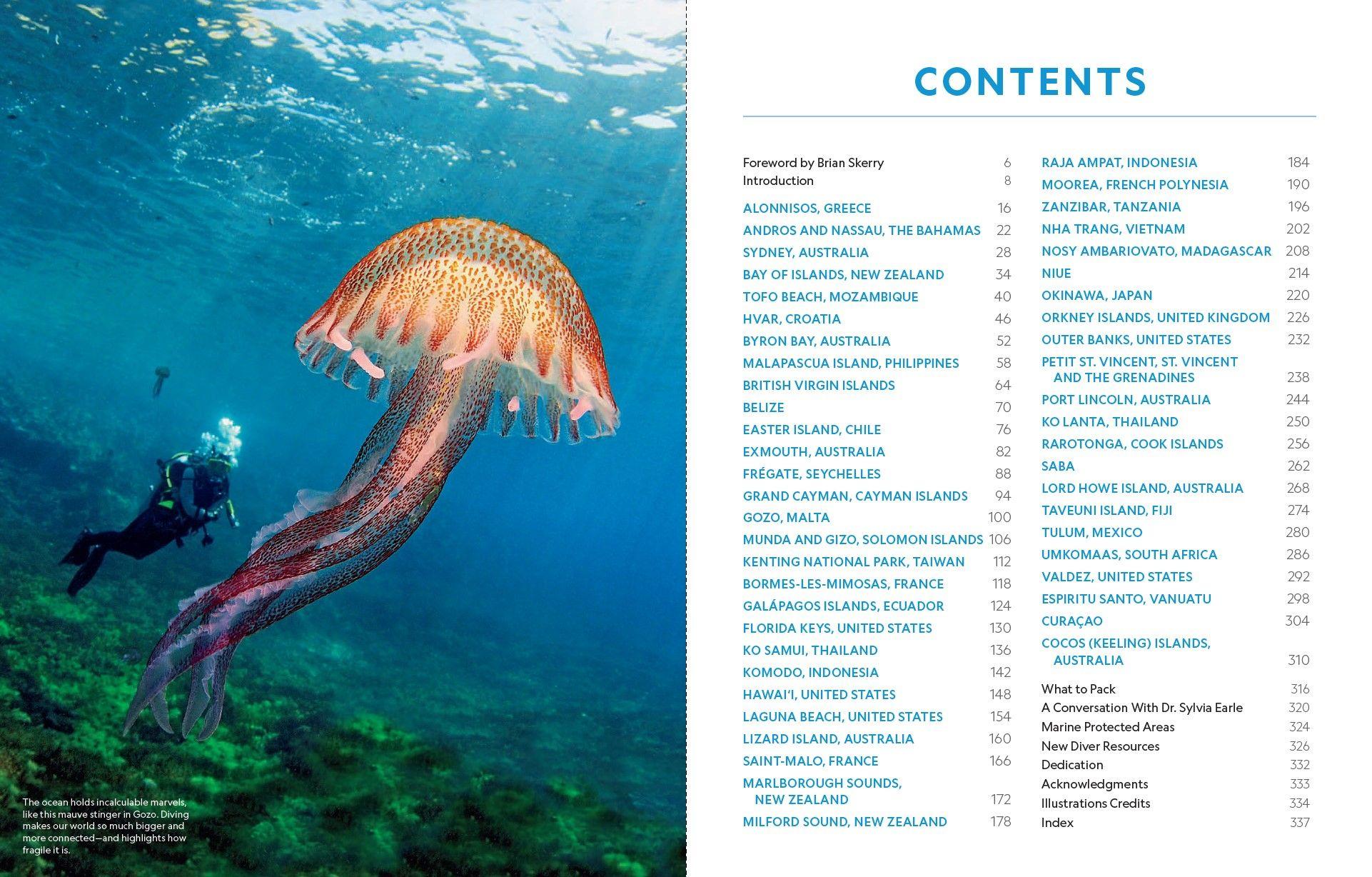 Beispielinhalt (Bild) Der ultimative World Diver's Guide