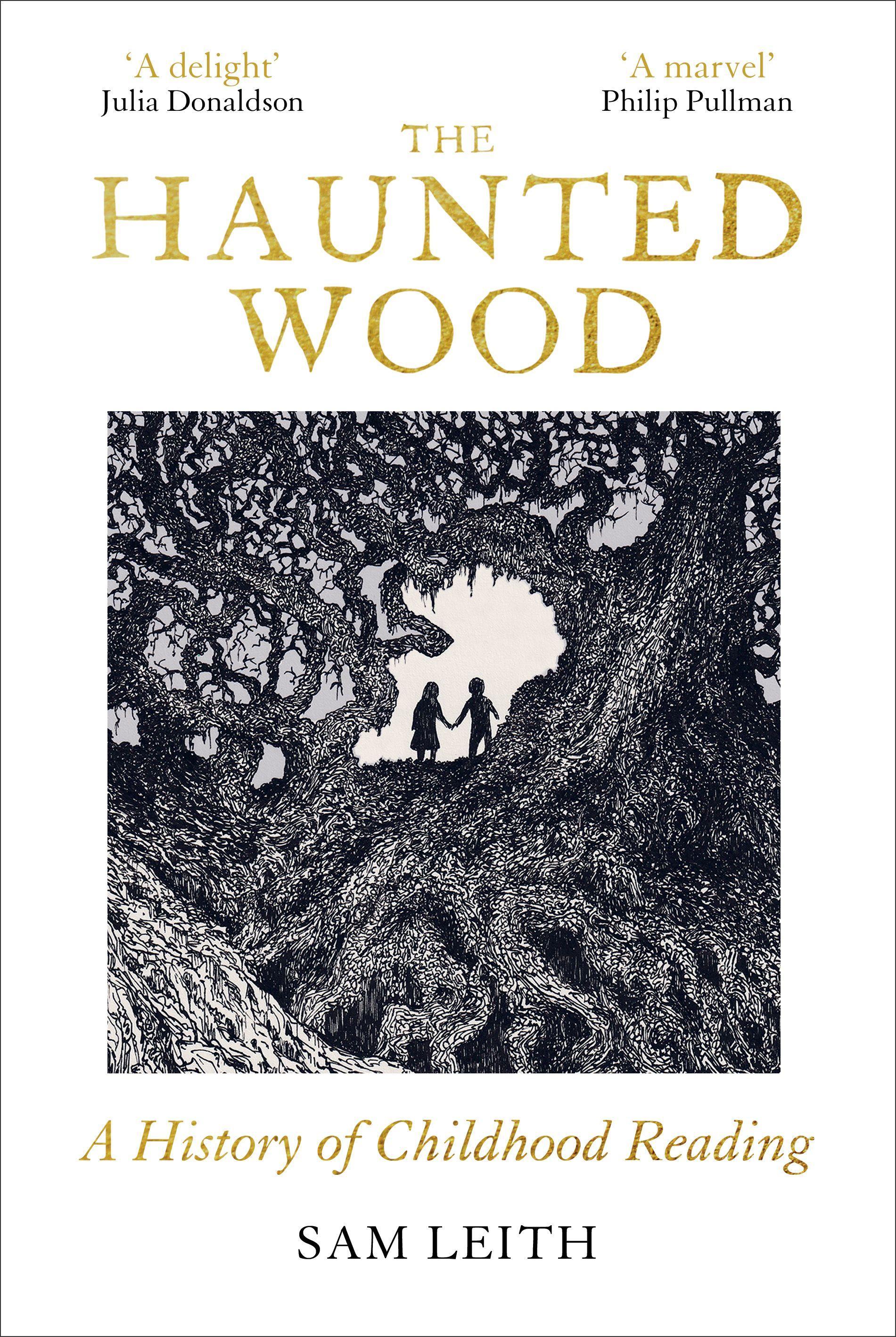 Vorderes Coverbild The Haunted Wood