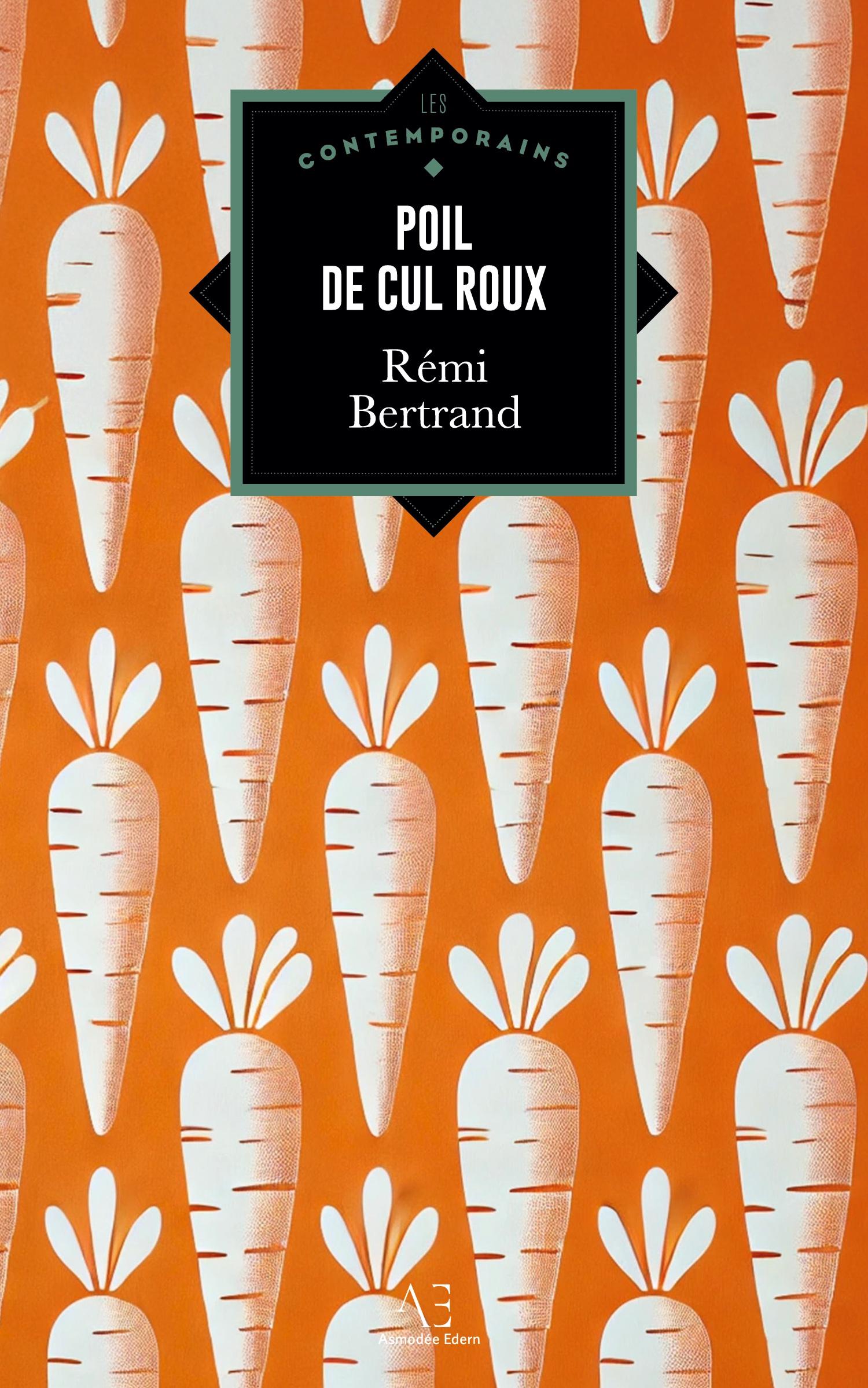 Vorderes Coverbild Poil de cul roux