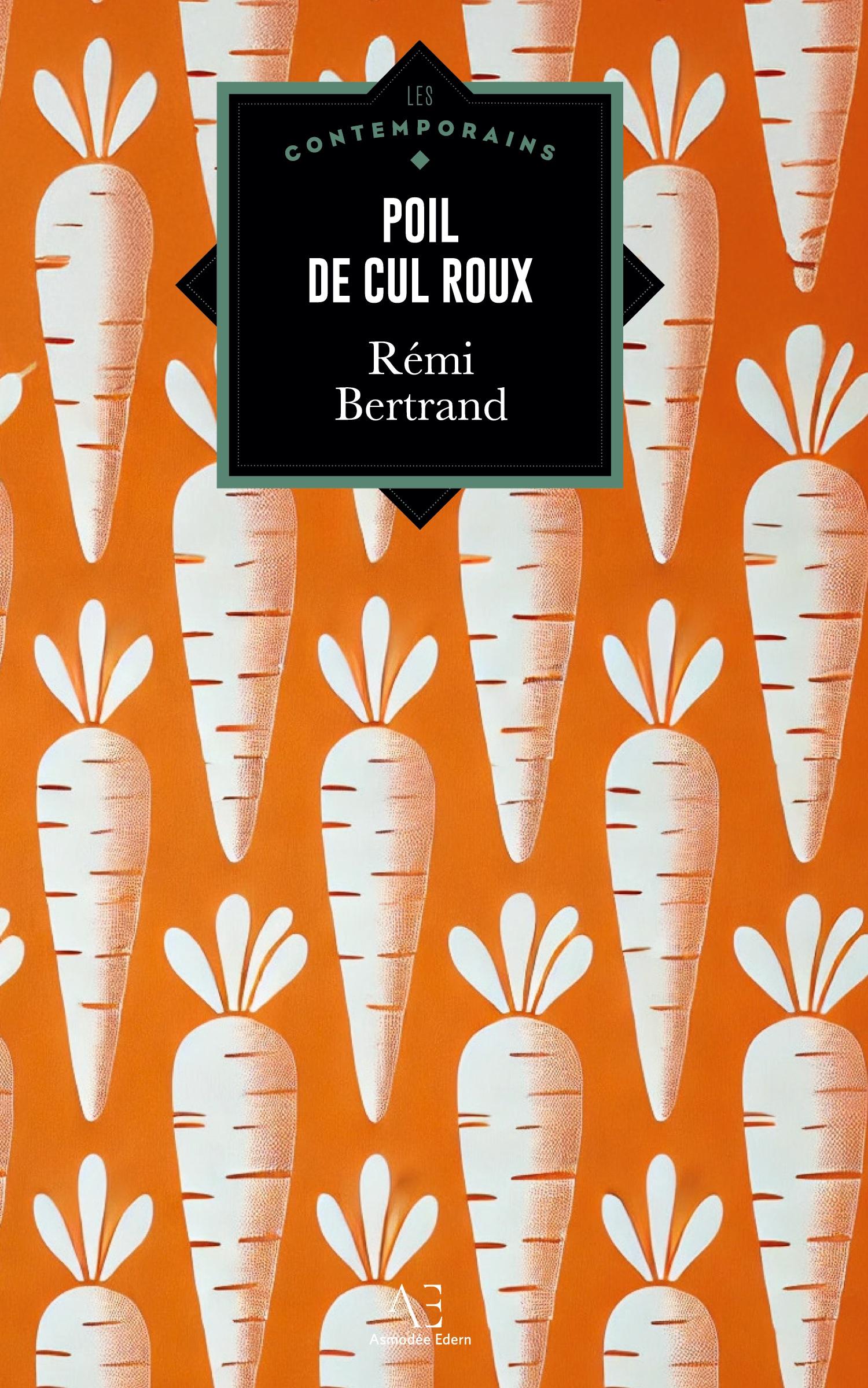 Vorderes Coverbild Poil de cul roux