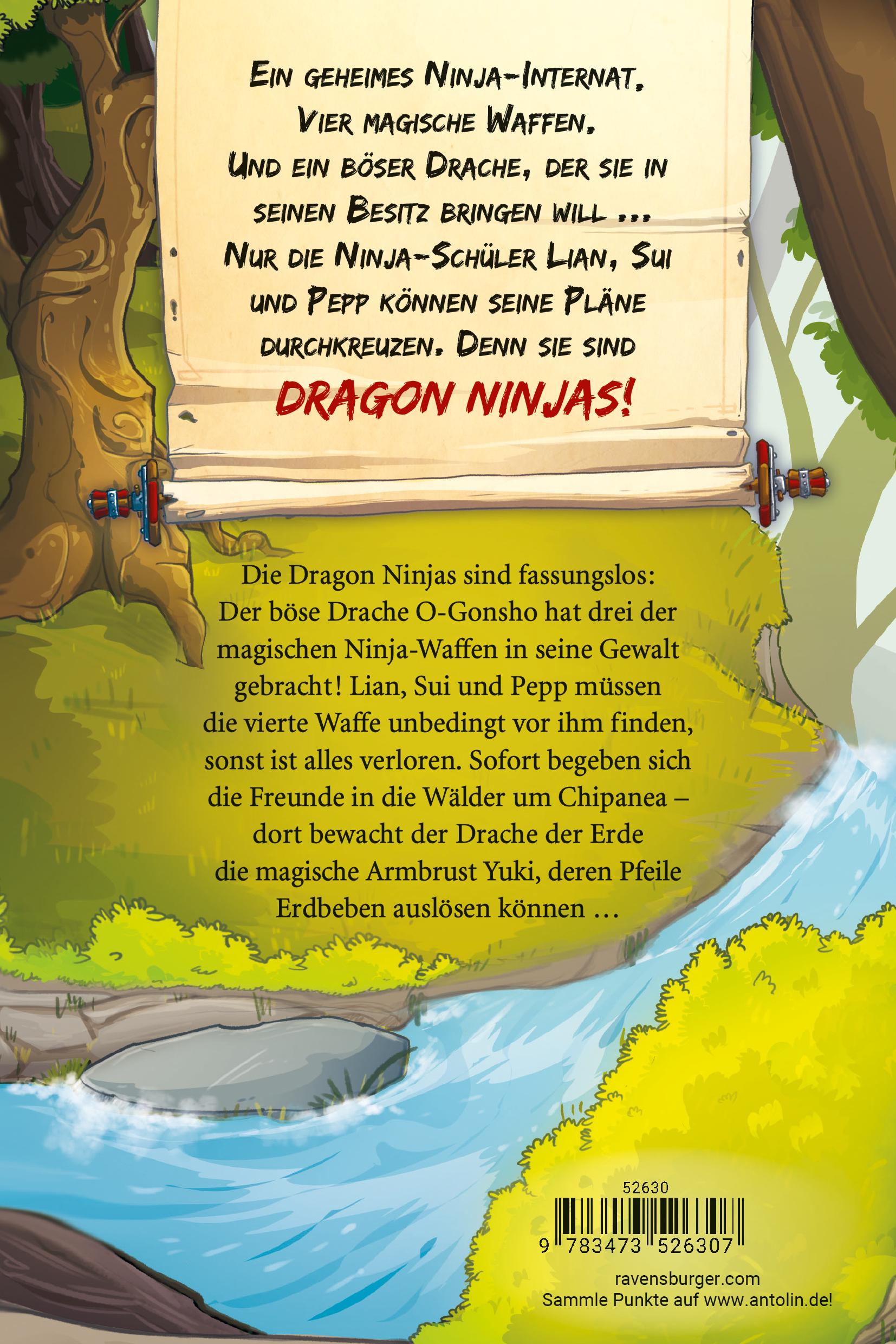 Rückseitencover Dragon Ninjas, Band 4 - Der Drache der Erde