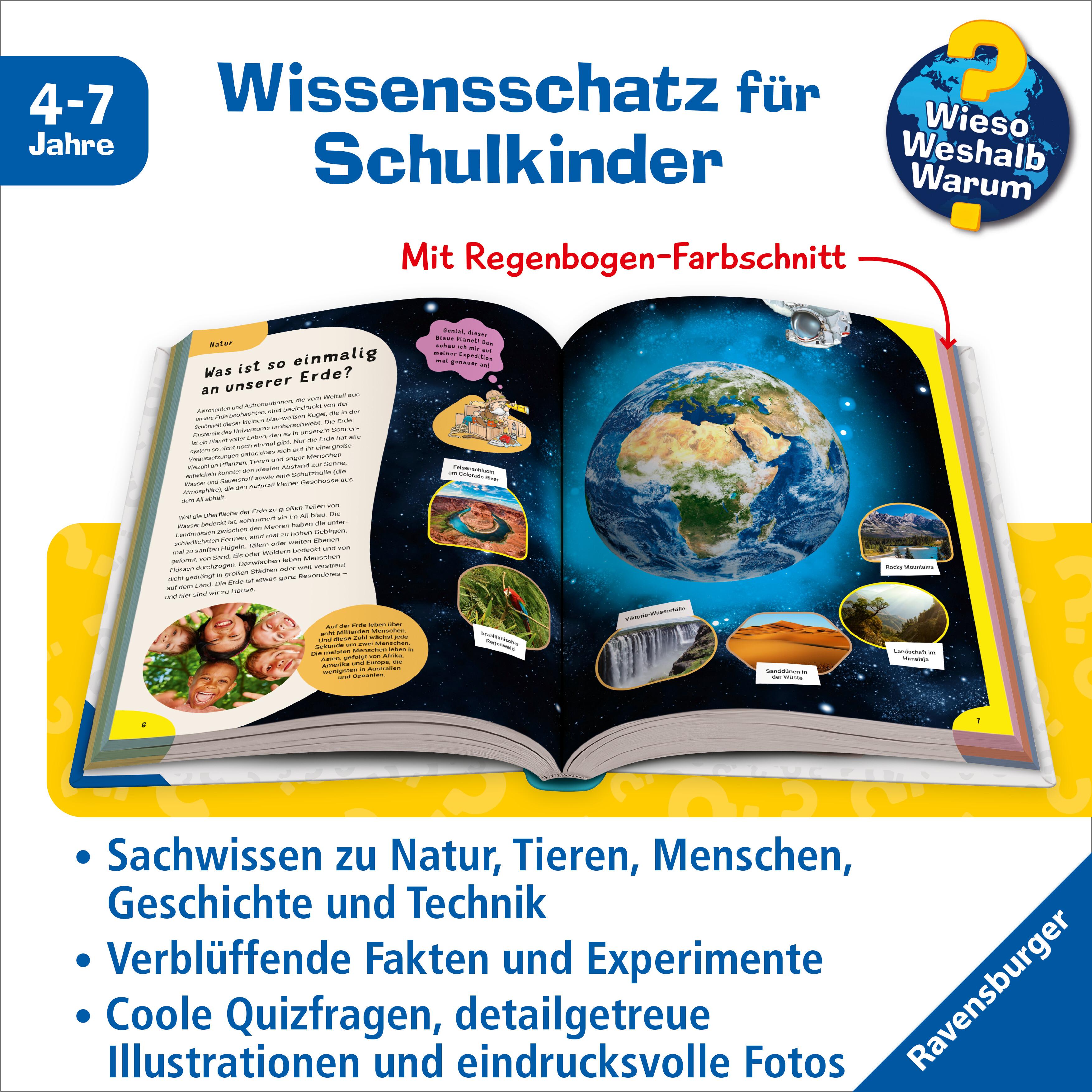 Beispielinhalt (Bild) Wieso? Weshalb? Warum? - Das Lexikon der Antworten