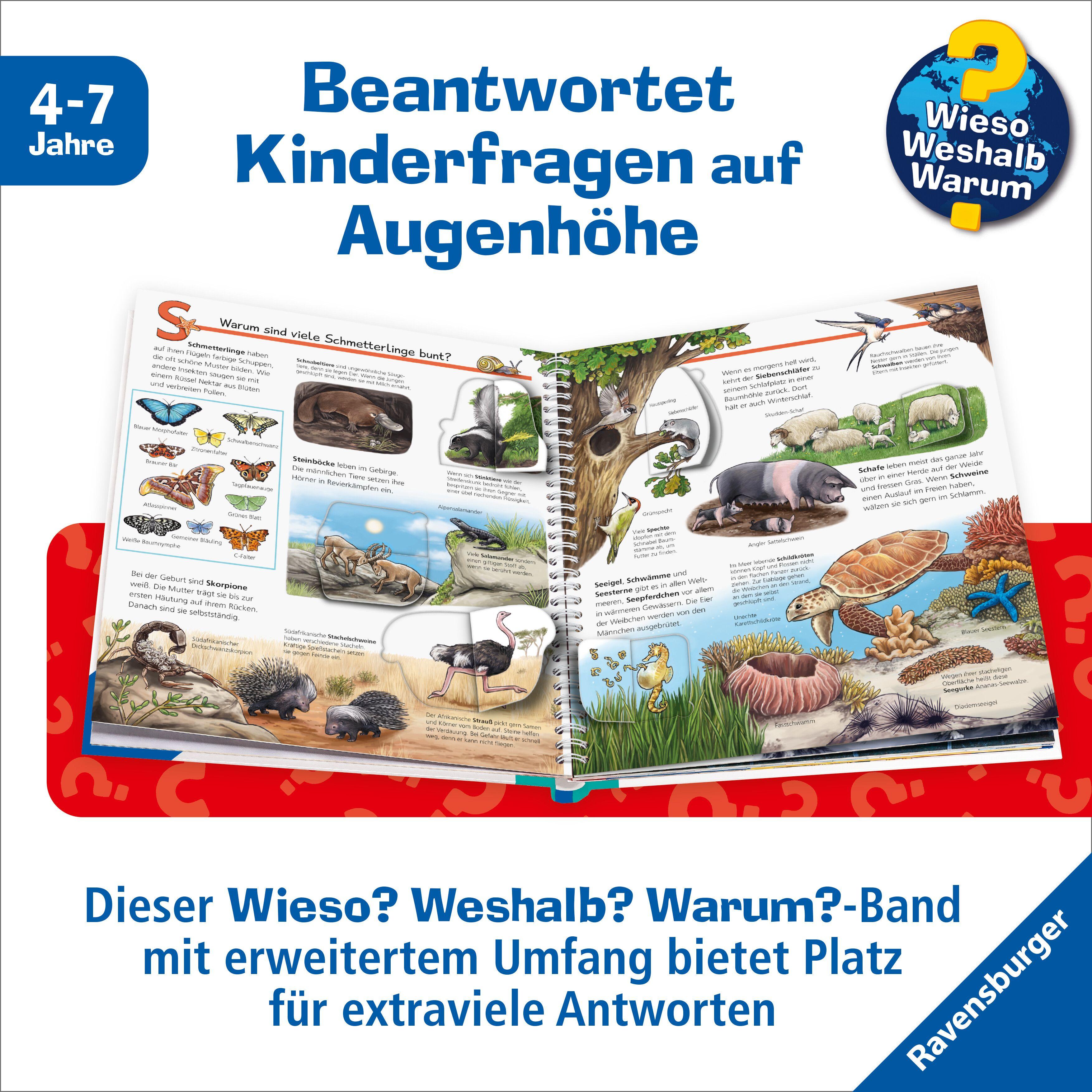 Beispielinhalt (Bild) Wieso? Weshalb? Warum? Sonderband - Mein ABC der Tiere