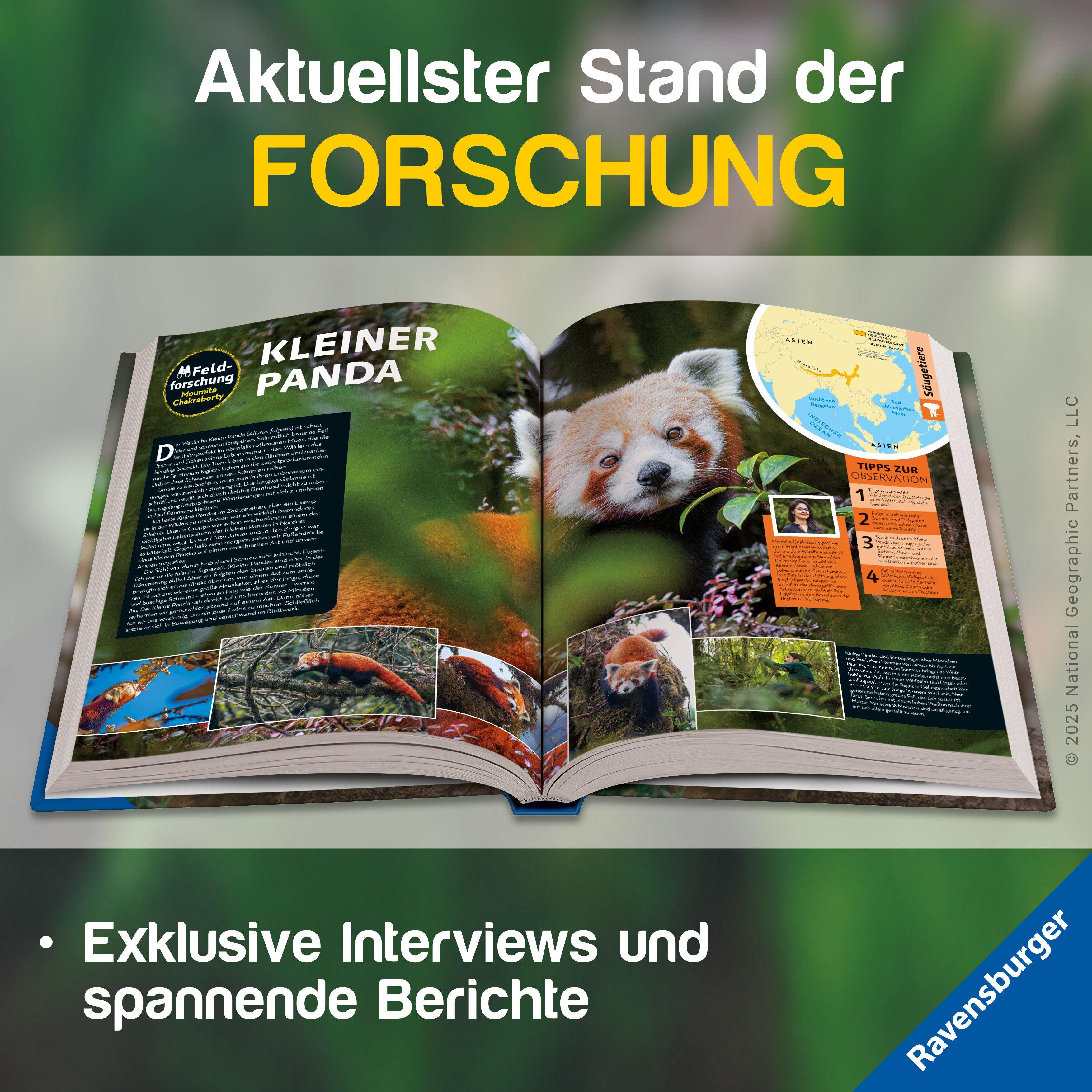 Beispielinhalt (Bild) National Geographic Kids - Lexikon der Tiere