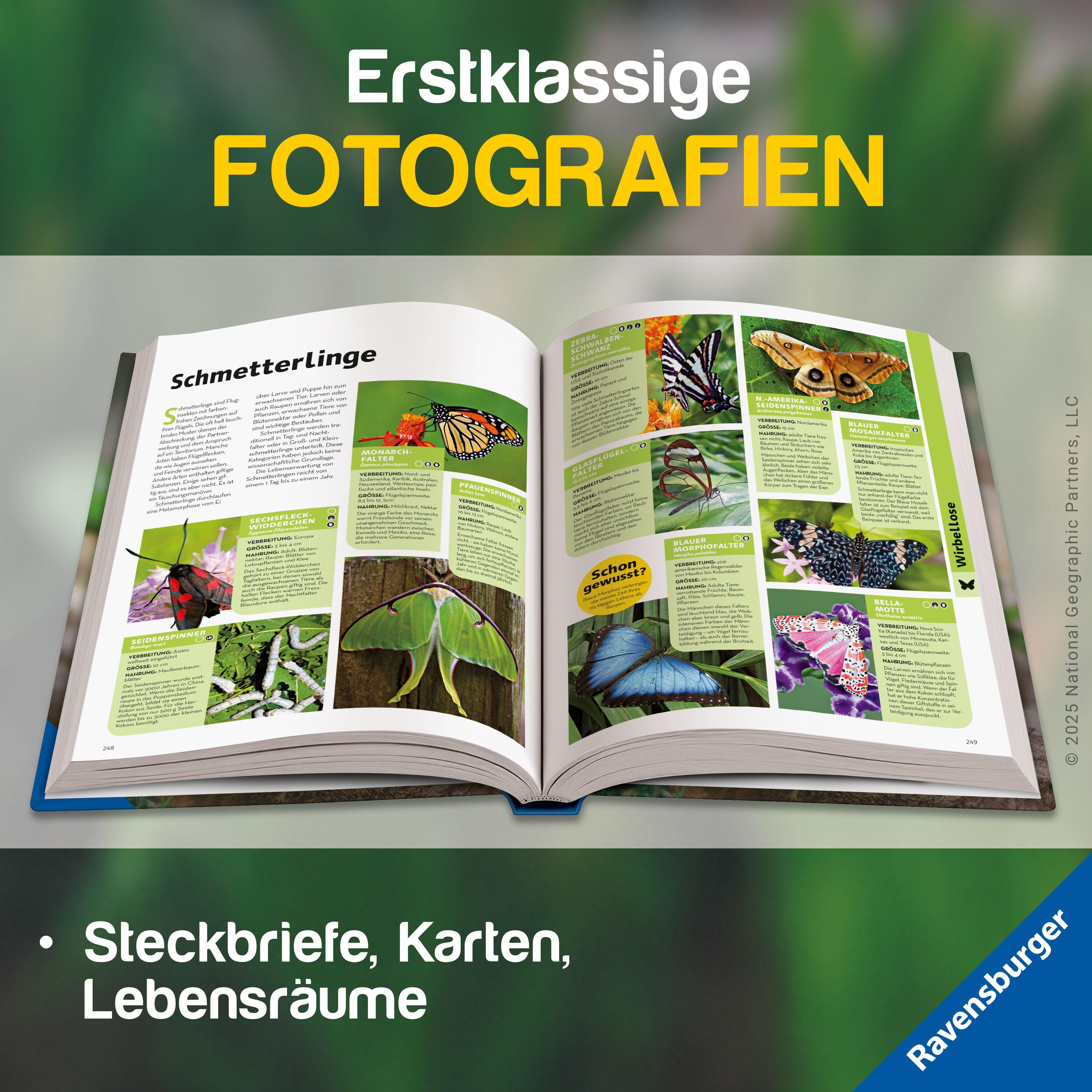 Beispielinhalt (Bild) National Geographic Kids - Lexikon der Tiere