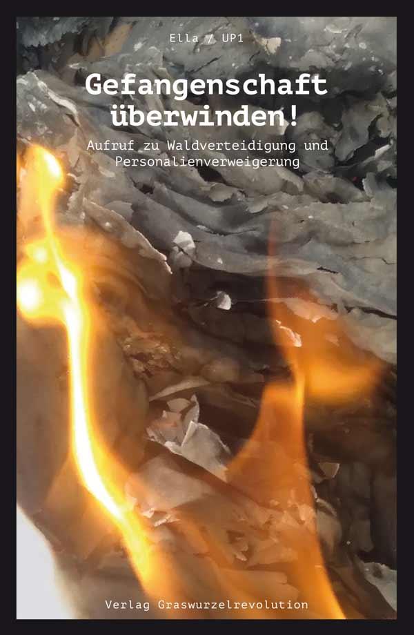 Vorderes Coverbild Gefangenschaft überwinden!