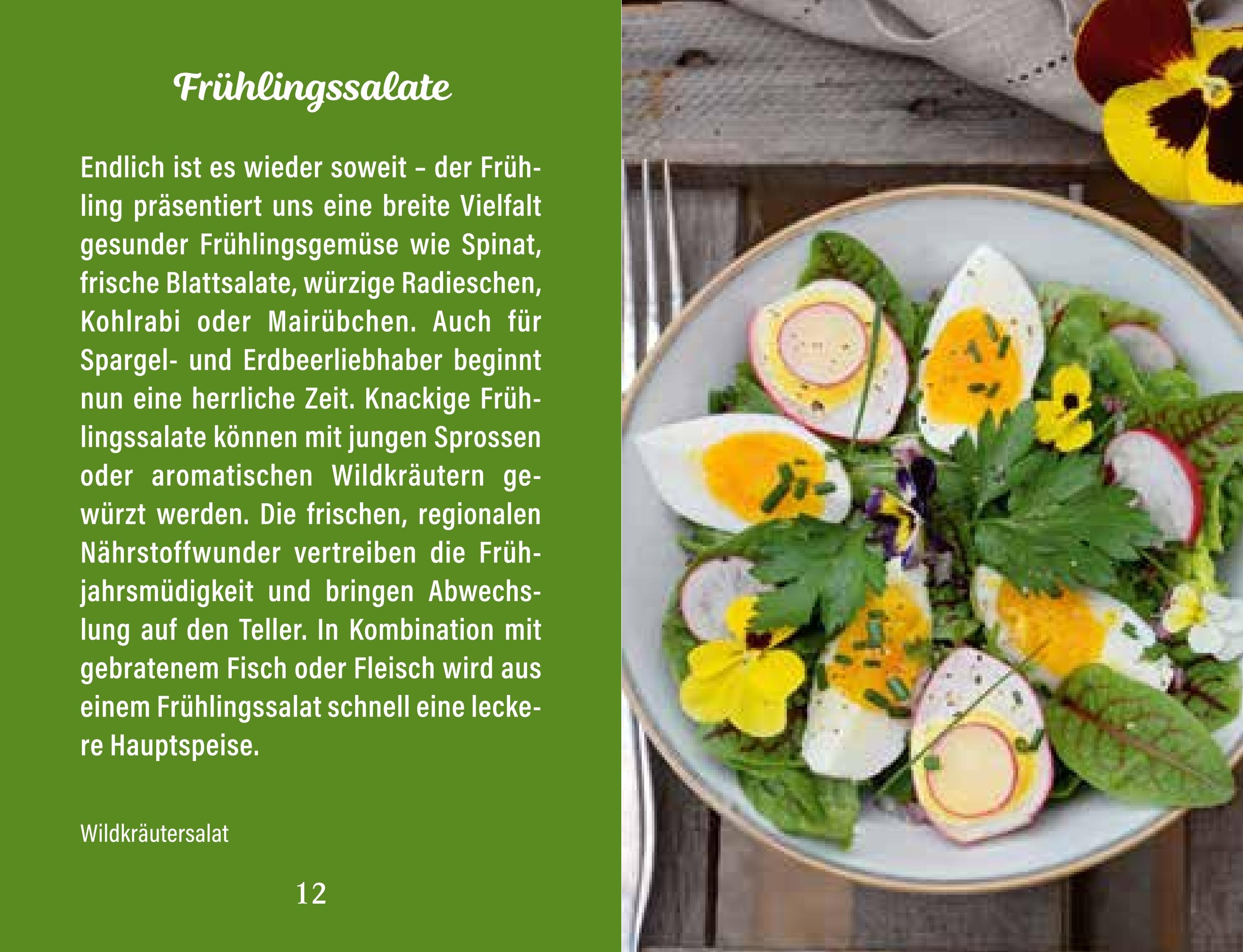 Beispielinhalt (Bild) Lieblingssalate