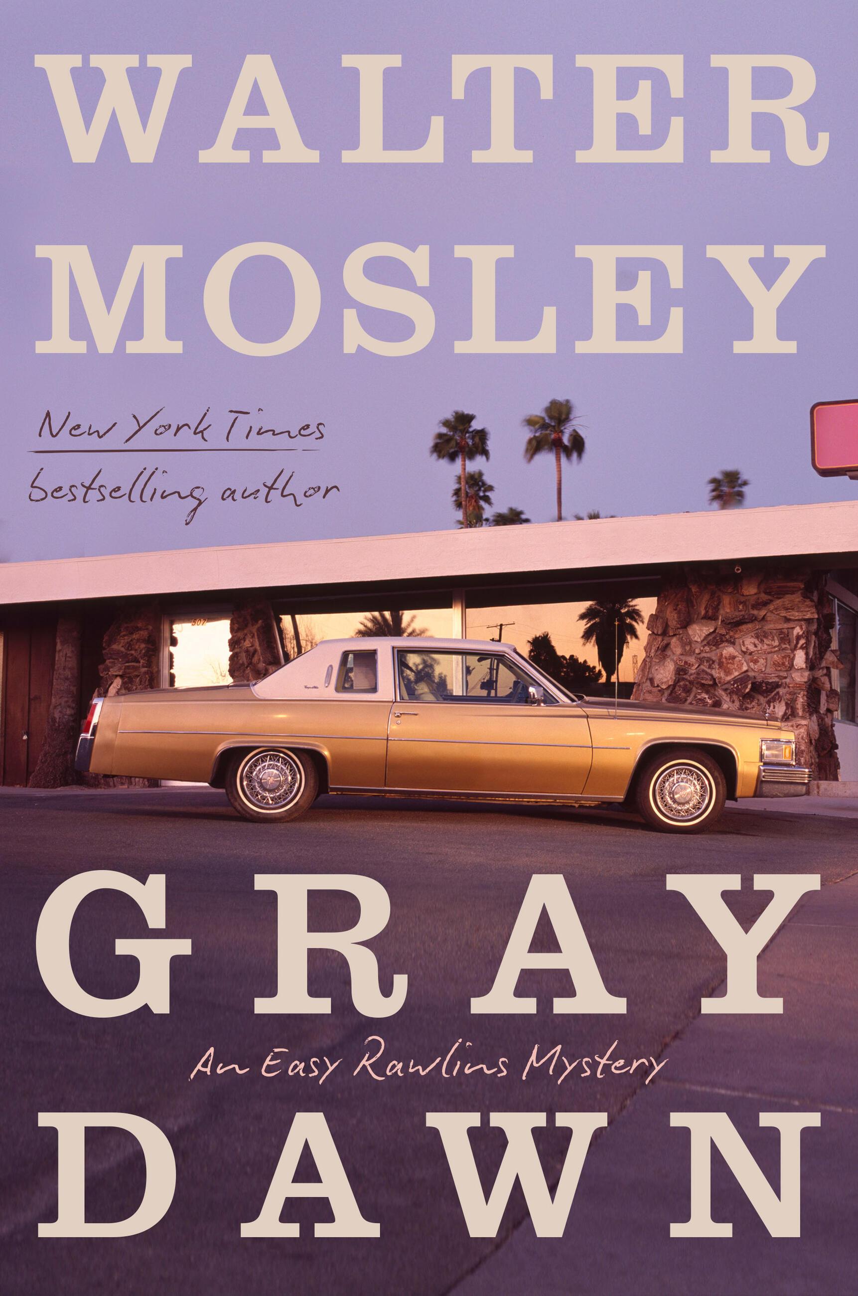 Vorderes Coverbild Gray Dawn