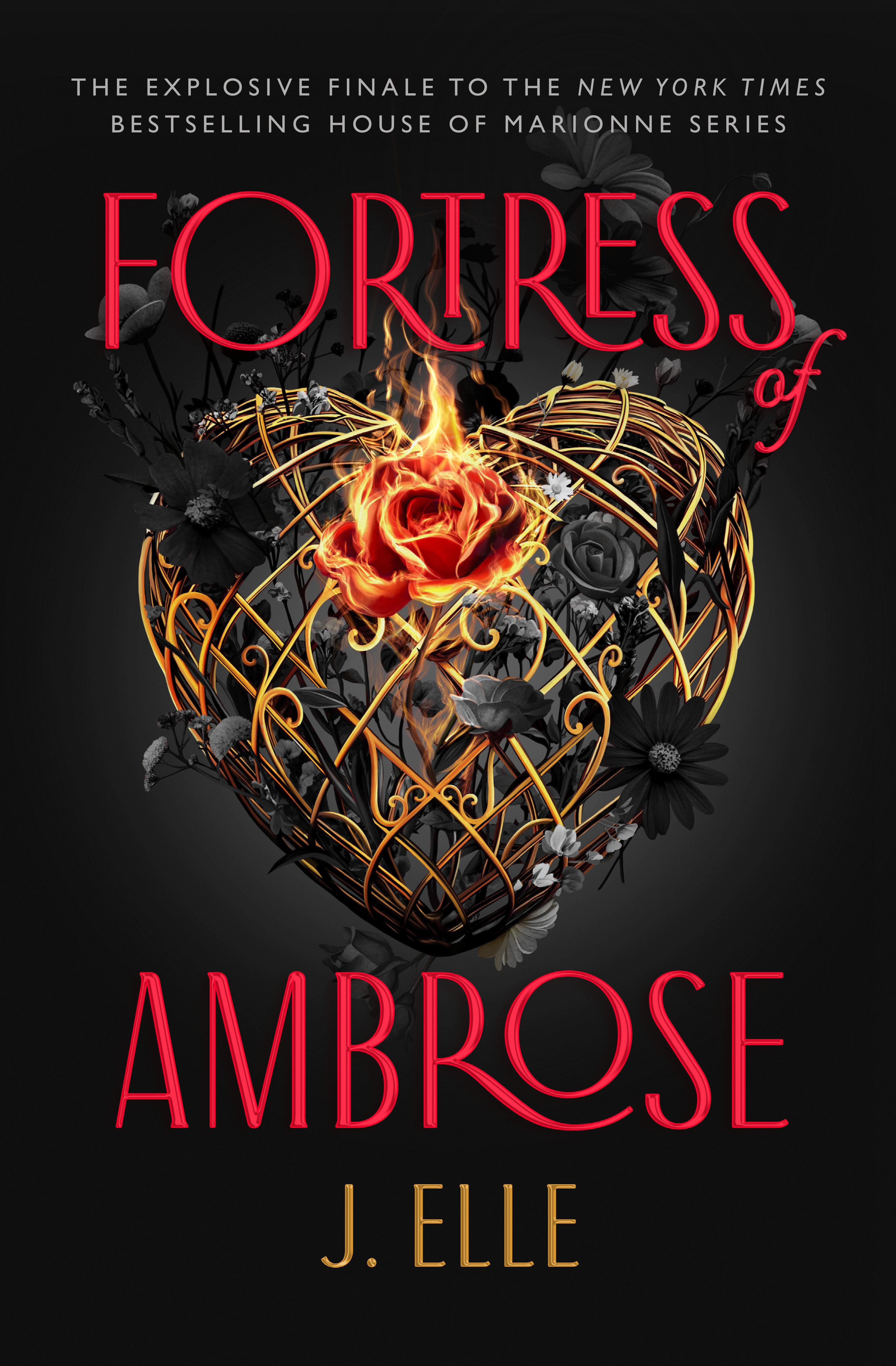 Vorderes Coverbild Fortress of Ambrose