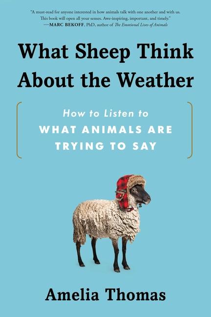 Vorderes Coverbild What Sheep Think about the Weather