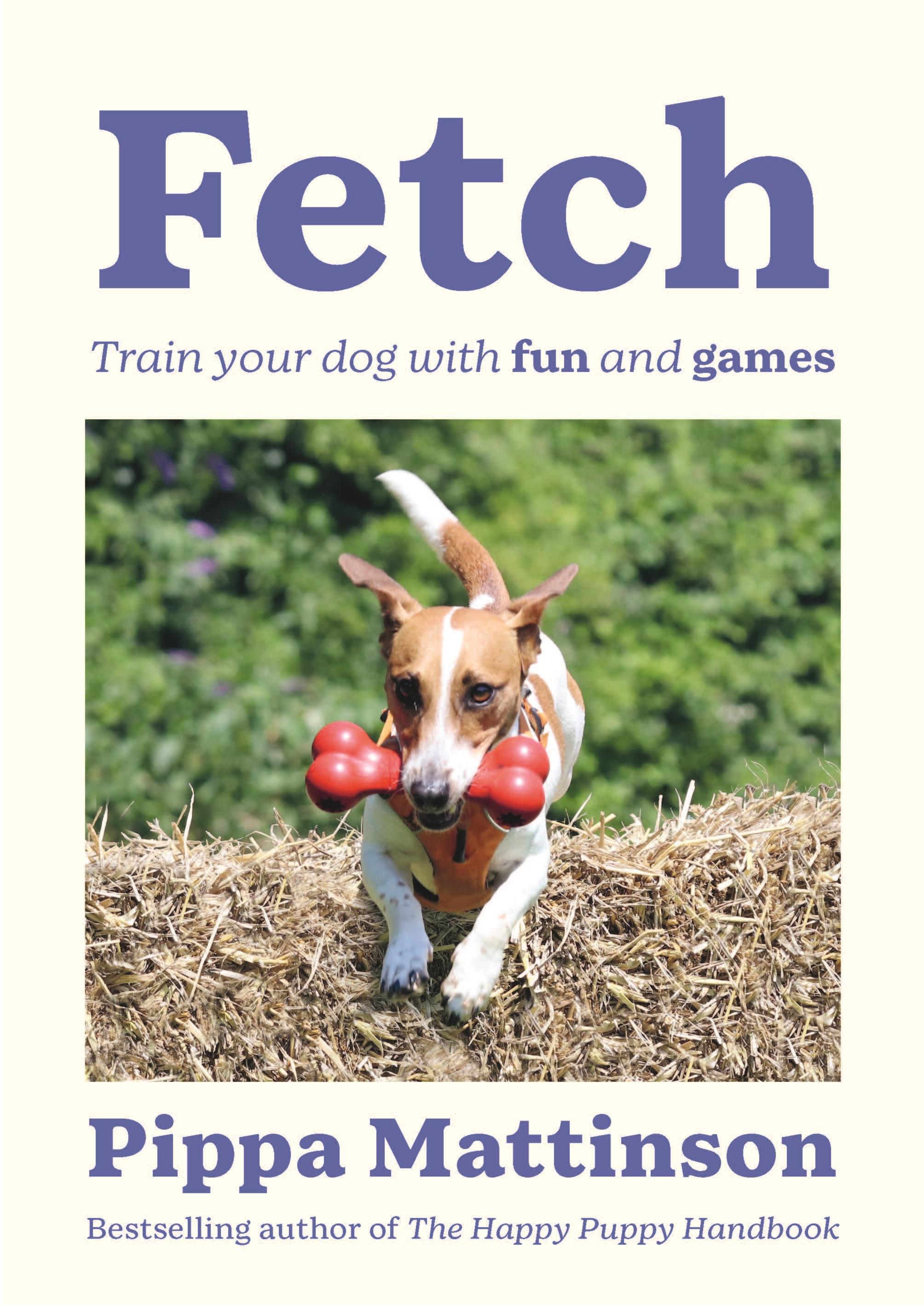 Vorderes Coverbild Fetch