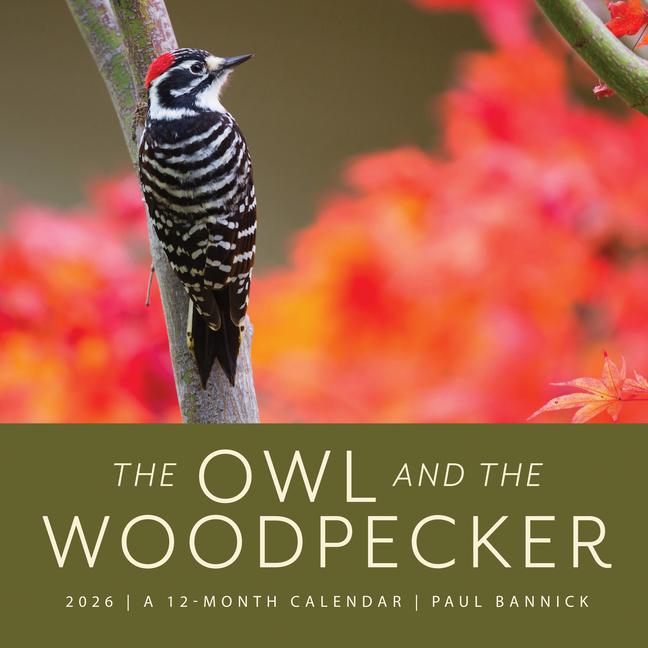 Vorderes Coverbild The Owl & the Woodpecker 2026