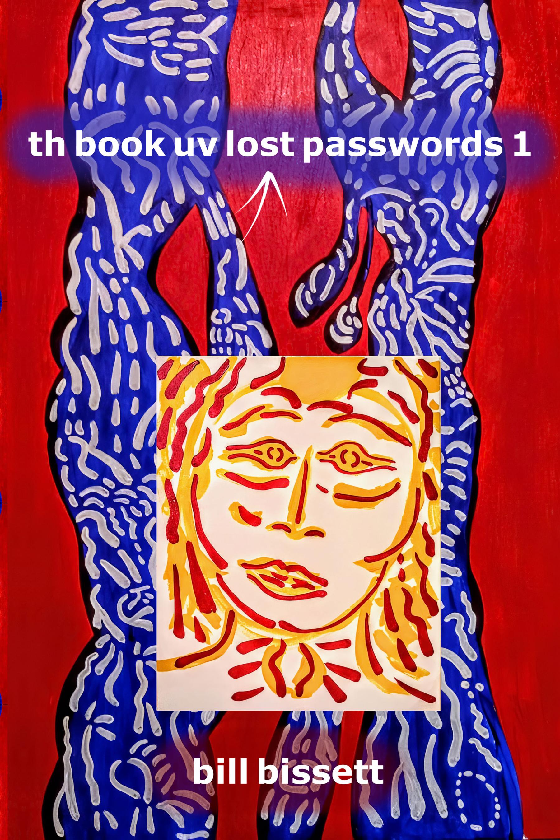 Vorderes Coverbild Th Book UV Lost Passwords 1
