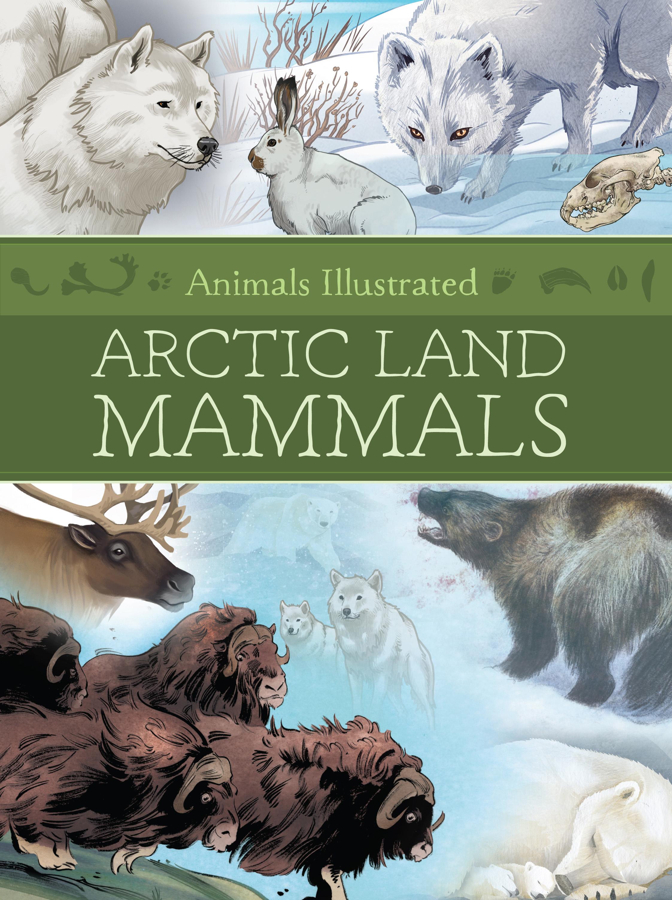 Vorderes Coverbild Animals Illustrated: Arctic Land Mammals