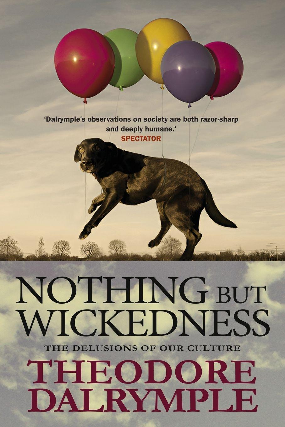 Vorderes Coverbild Nothing but Wickedness