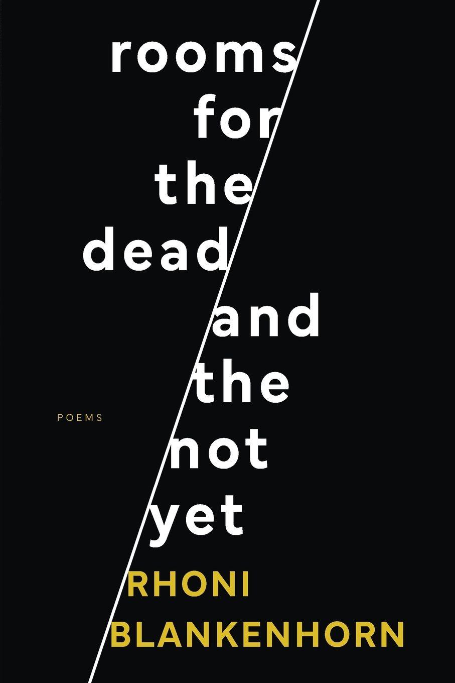 Vorderes Coverbild Rooms for the Dead and the Not Yet