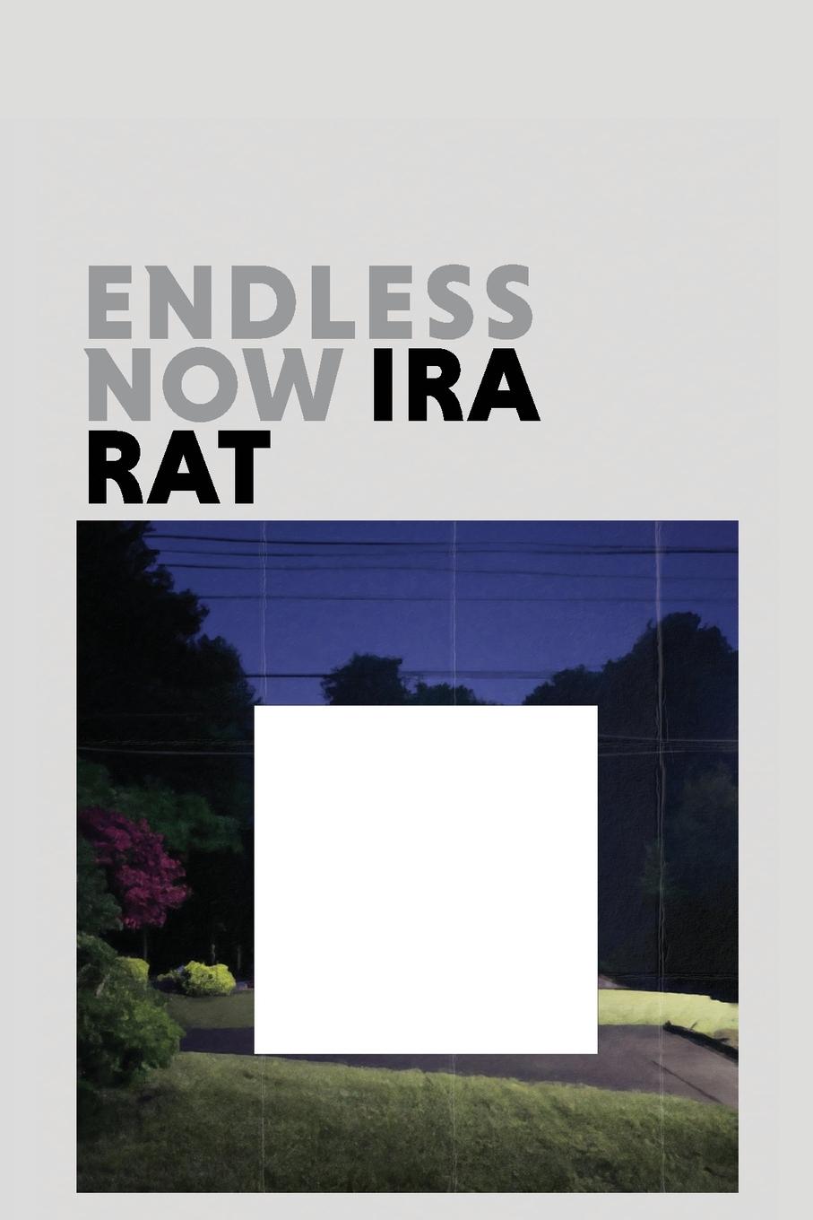 Vorderes Coverbild Endless Now (Deluxe Edition)