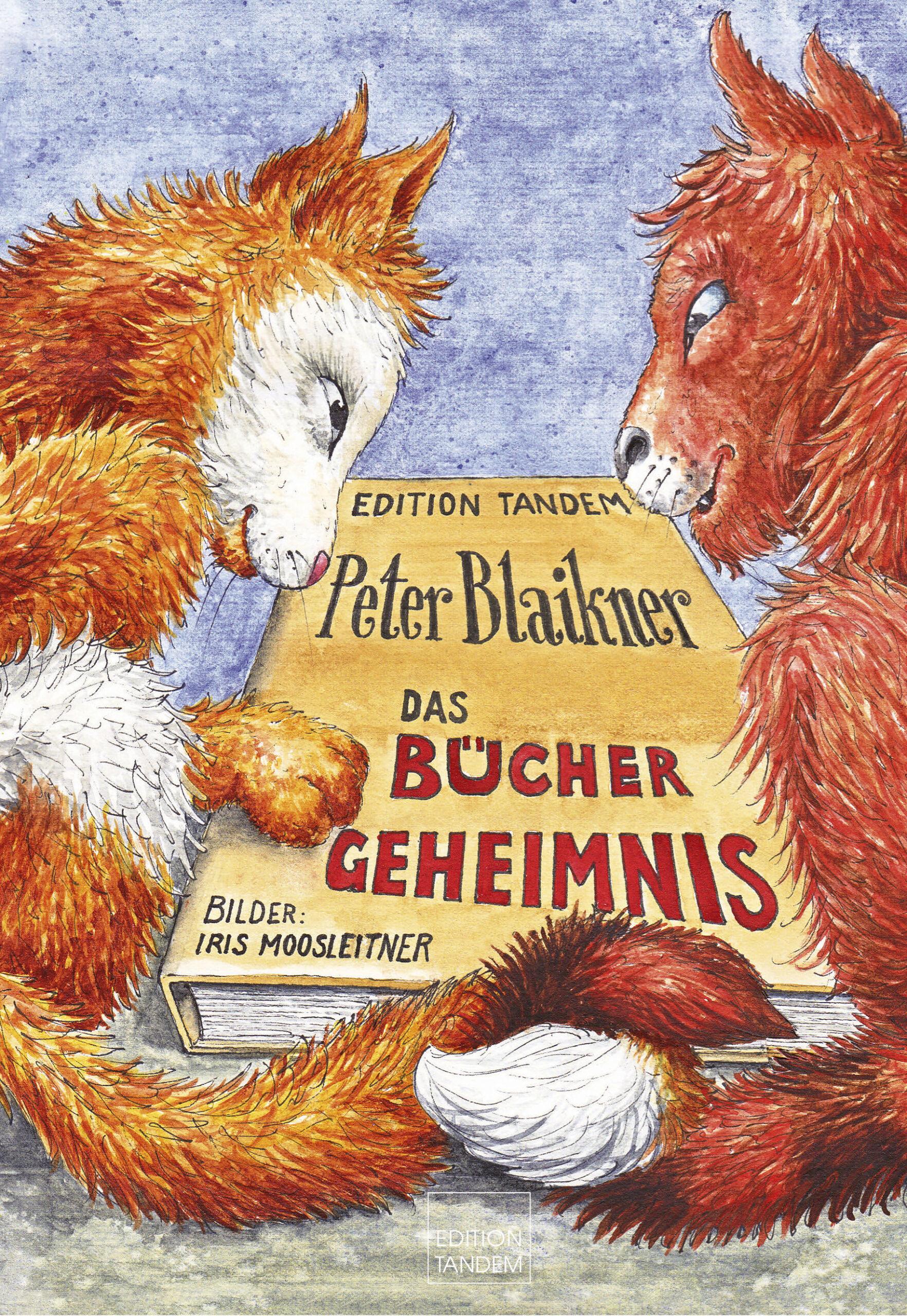 Vorderes Coverbild Das Büchergeheimnis