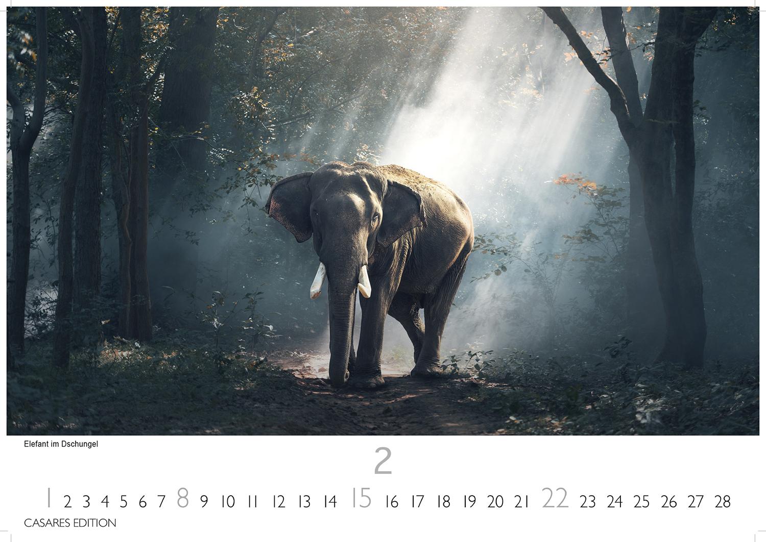 Beispielinhalt (Bild) Thailand Kalender 2026 - Wandkalender | Fotokalender Orient 35x50cm Grosses Format - Hochwertiger für 2026 - von der beeindruckenden Schönheit des Landes