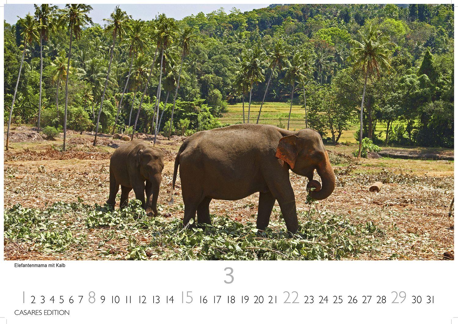 Beispielinhalt (Bild) Sri Lanka Kalender 2026 - Wandkalender | Fotokalender Asien 24x35cm - Hochwertiger für 2026 - mit atemberaubenden Fotos von Sri Lanka