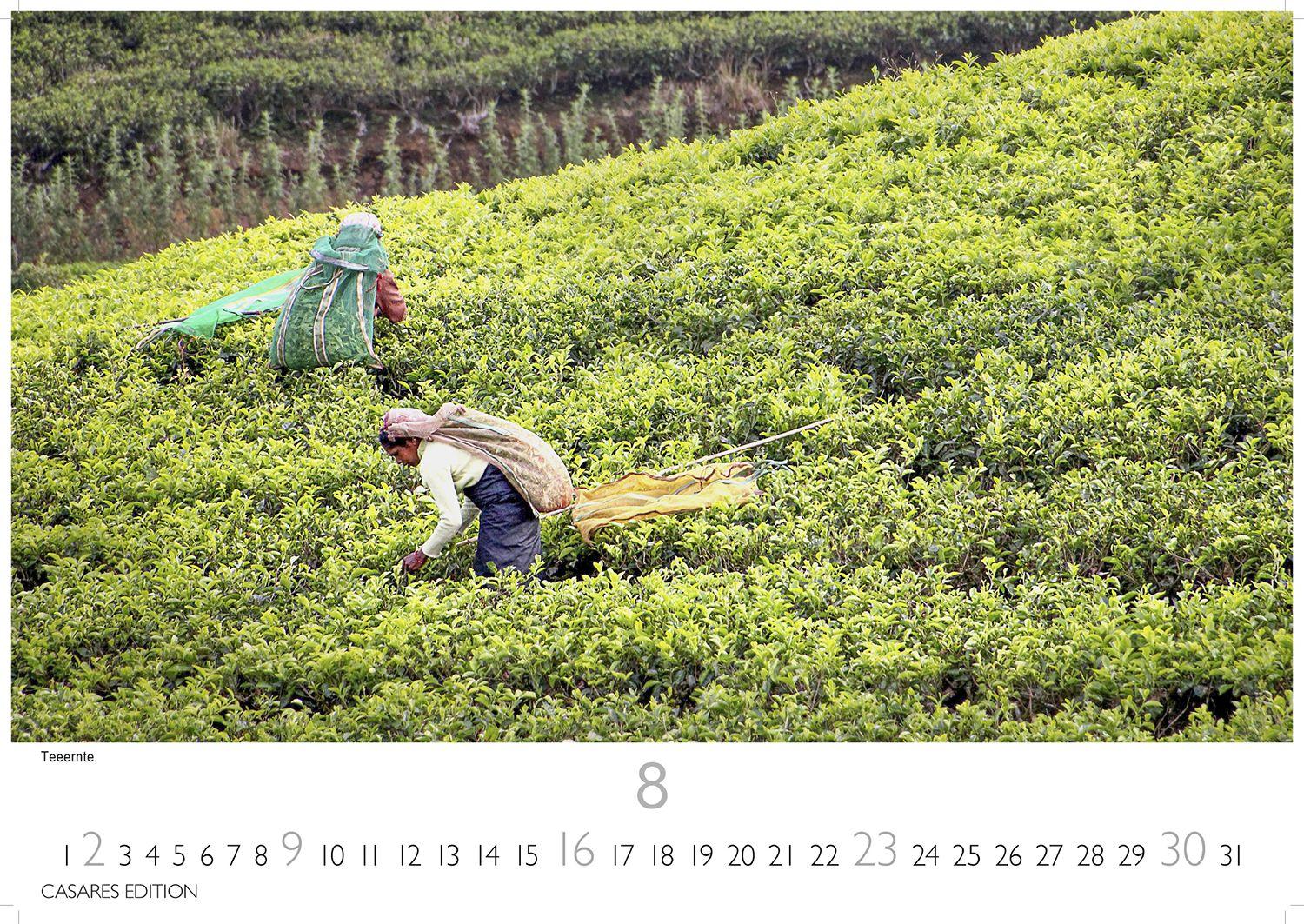 Beispielinhalt (Bild) Sri Lanka Kalender 2026 - Wandkalender | Fotokalender Asien 24x35cm - Hochwertiger für 2026 - mit atemberaubenden Fotos von Sri Lanka