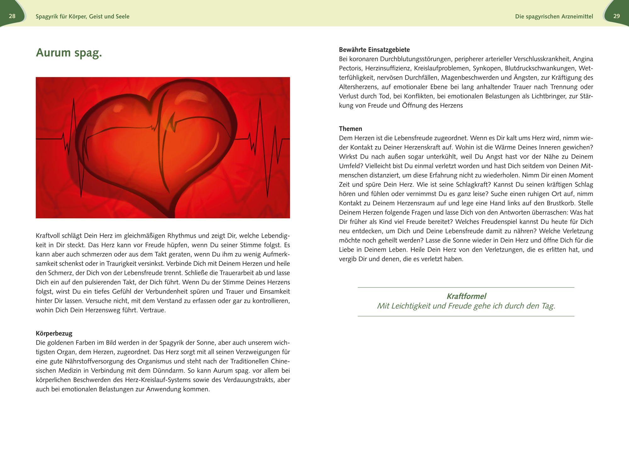 Beispielinhalt (Bild) Spagyrik für Körper, Geist und Seele