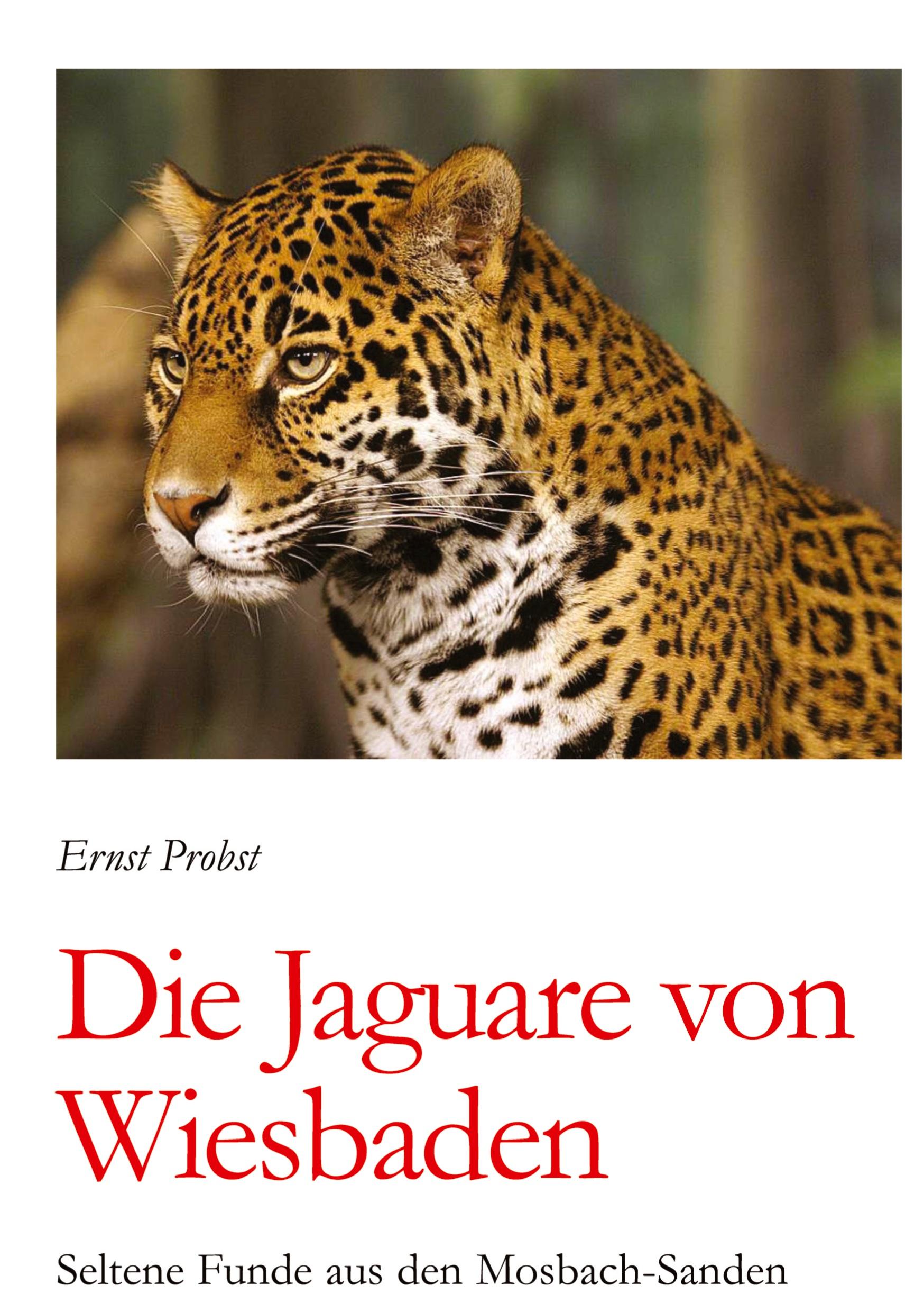 Vorderes Coverbild Die Jaguare von Wiesbaden